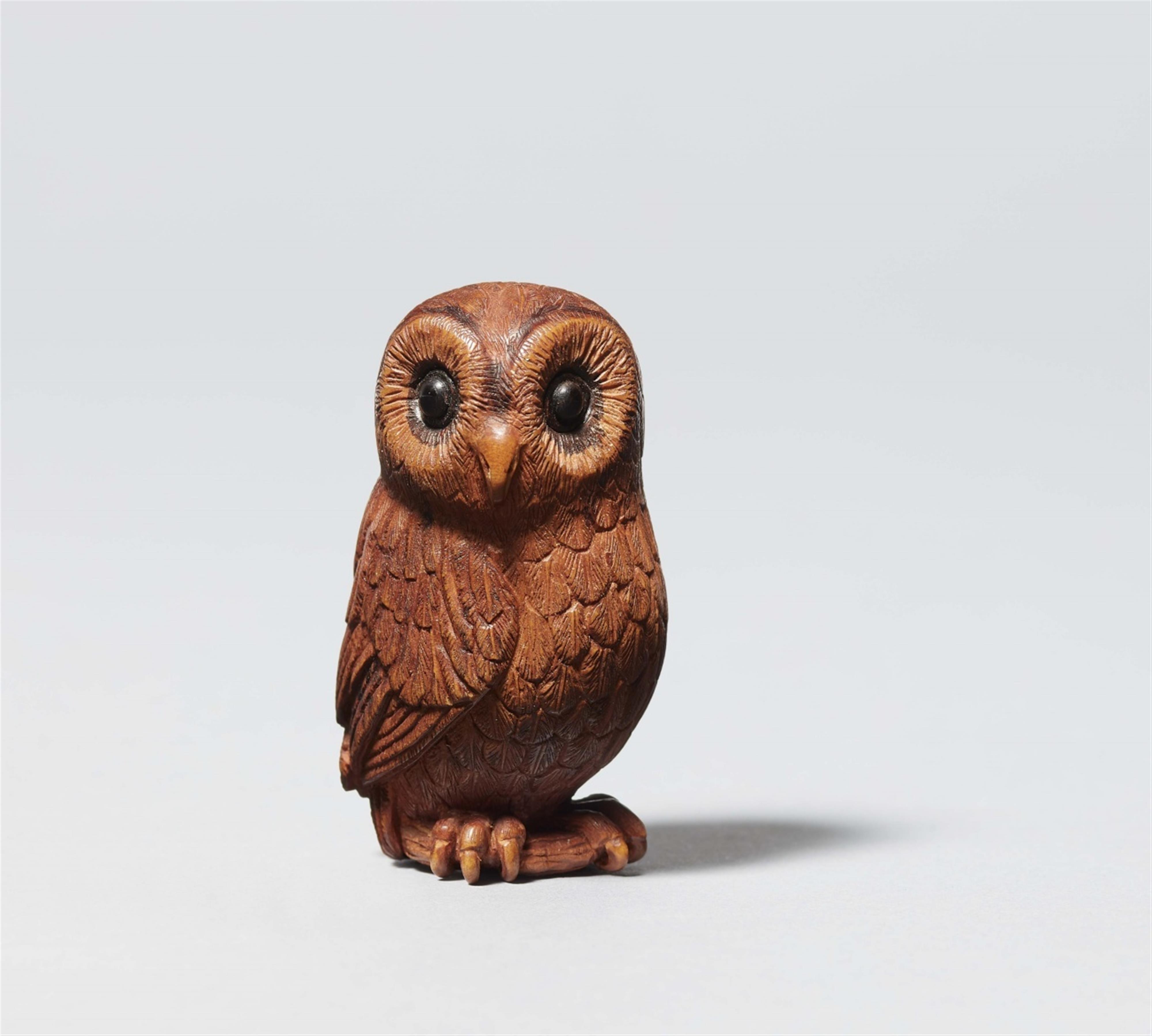 Owl. Michael Webb - image-1