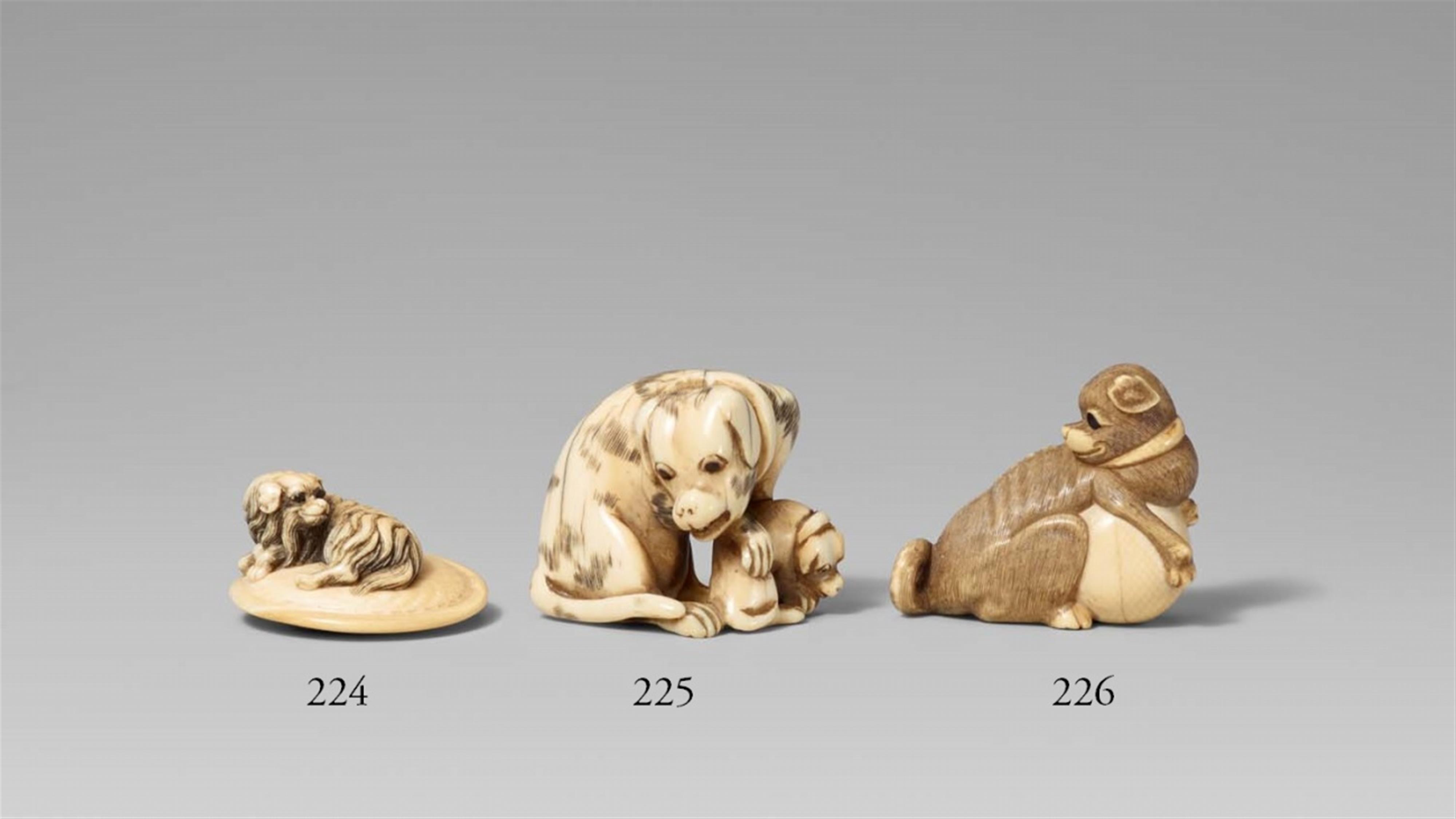 An ivory netsuke of a long-haired dog. Early 19th century - image-1