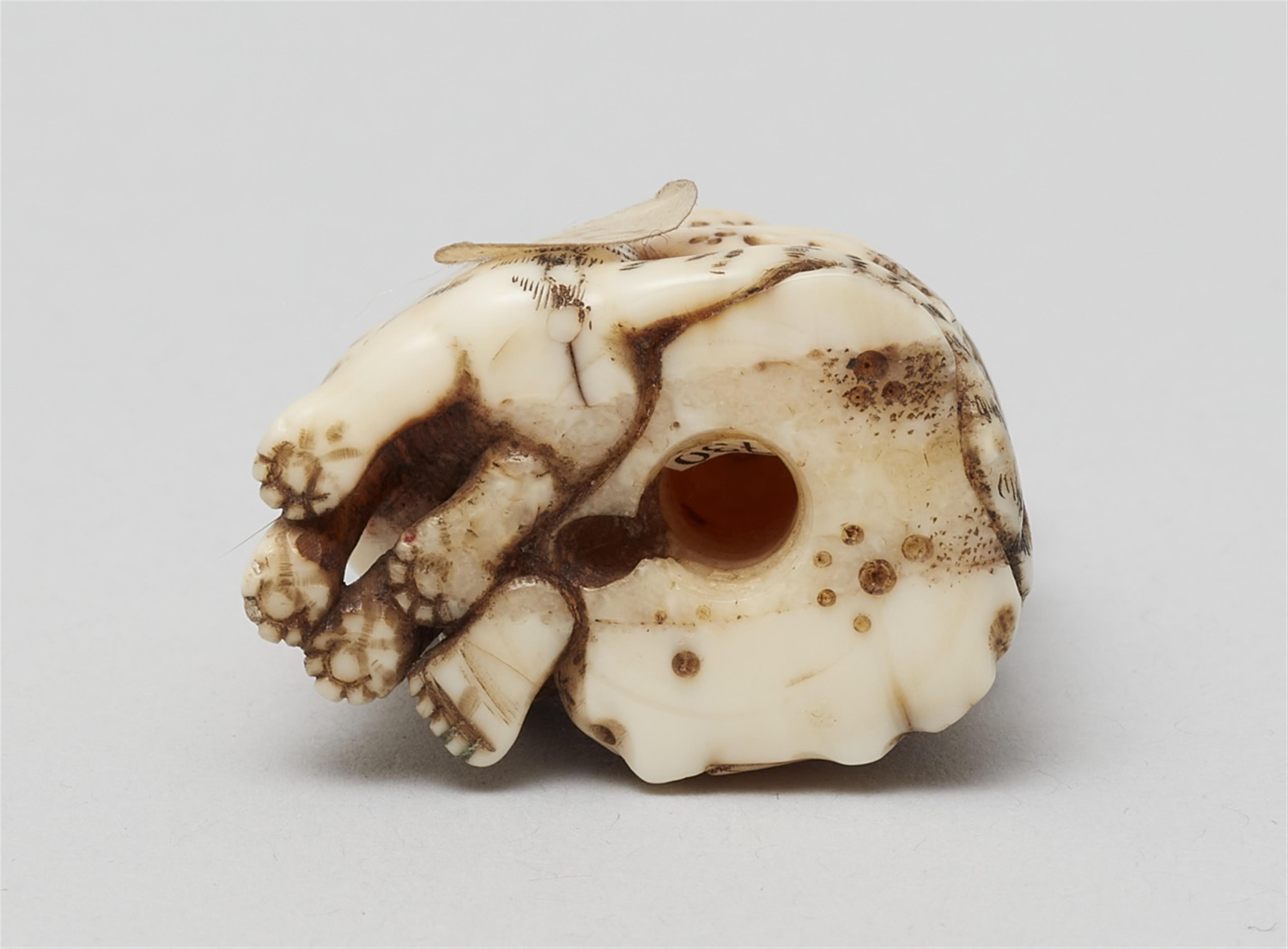 A walrus tusk netsuke of Bunkan Zenshi. Second half 19th century - image-5