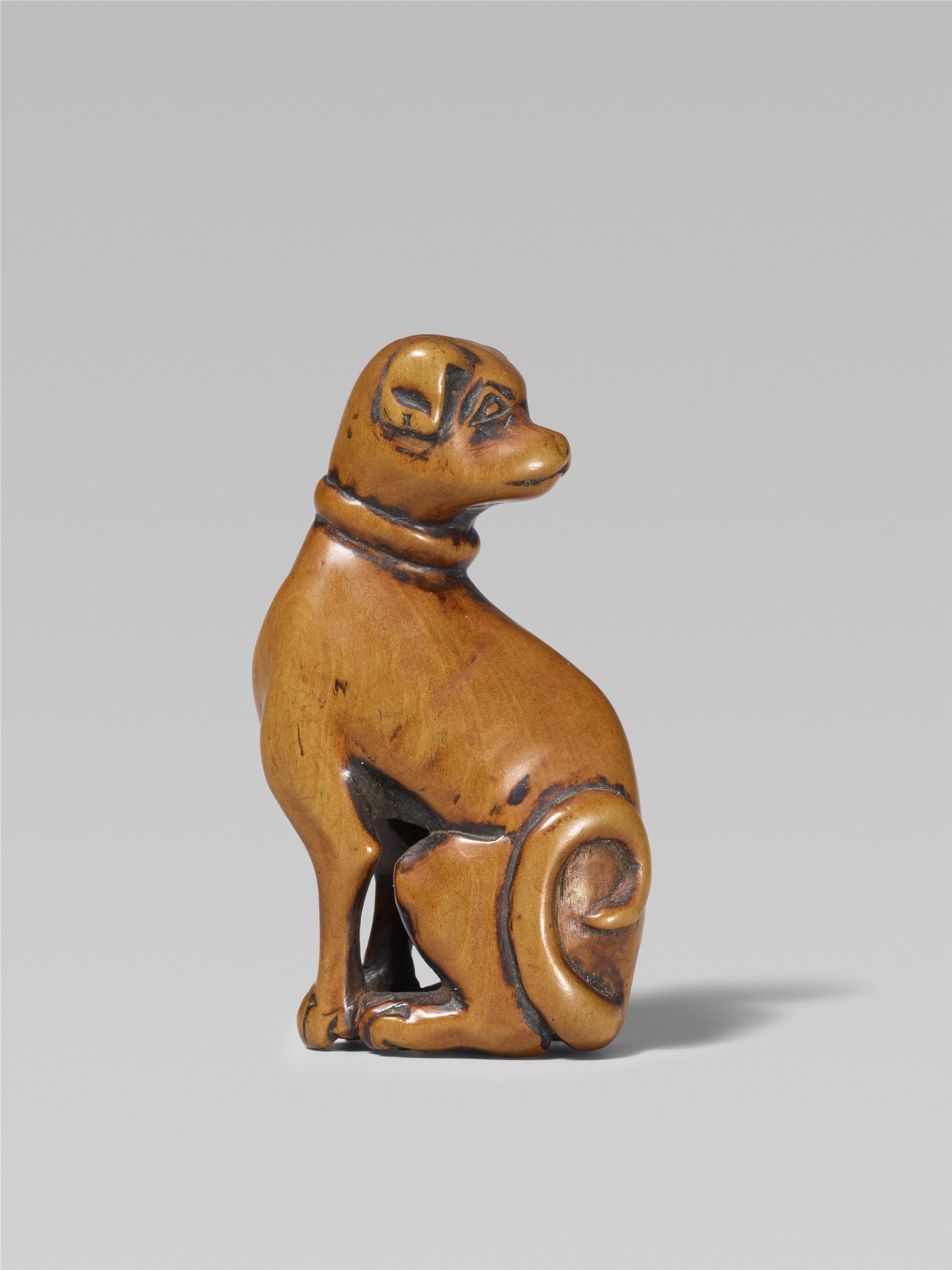 An attractive boxwood netsuke of a dog. Early 19th century - image-1