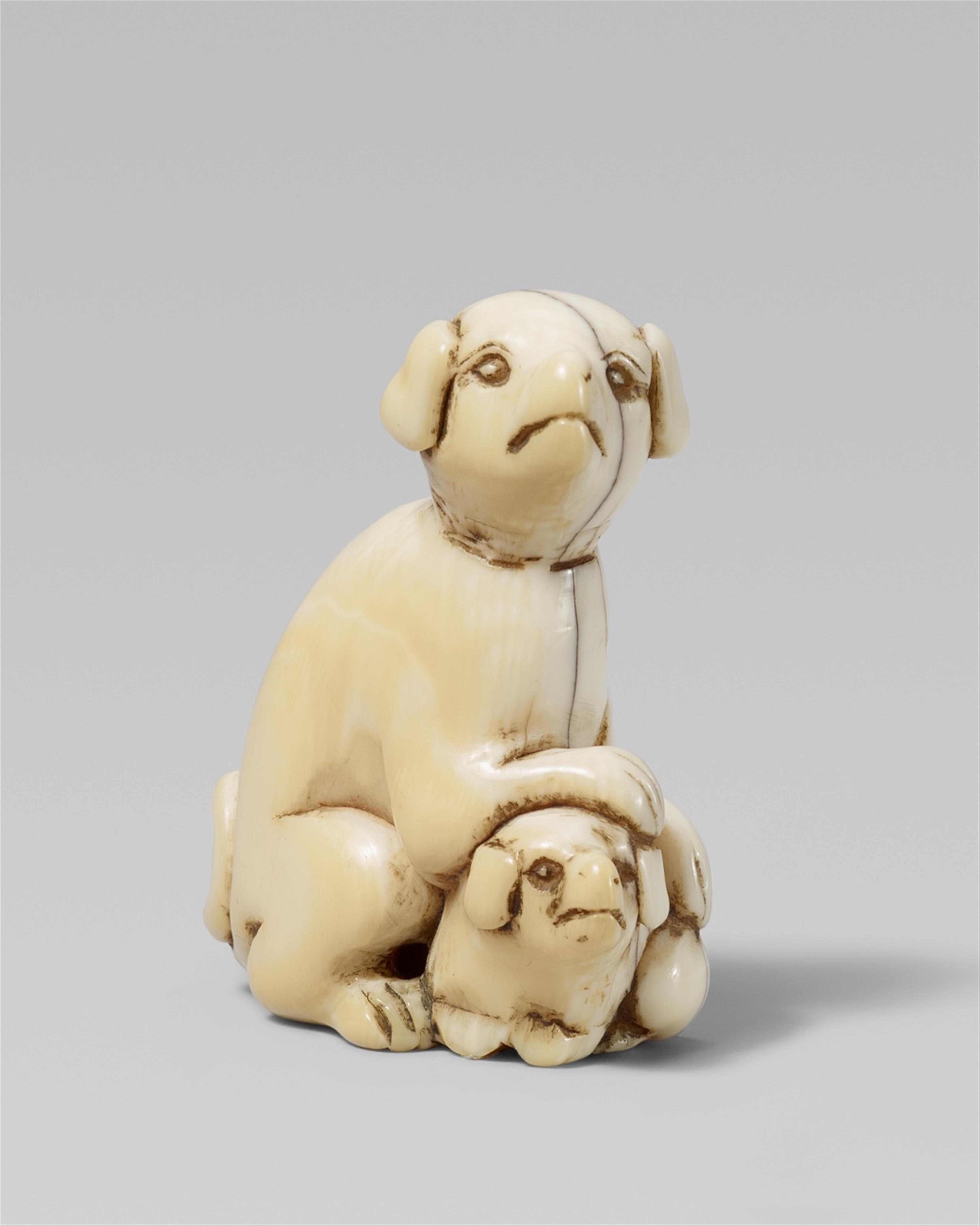 An ivory netsuke of two dogs. Early 19th century - image-1