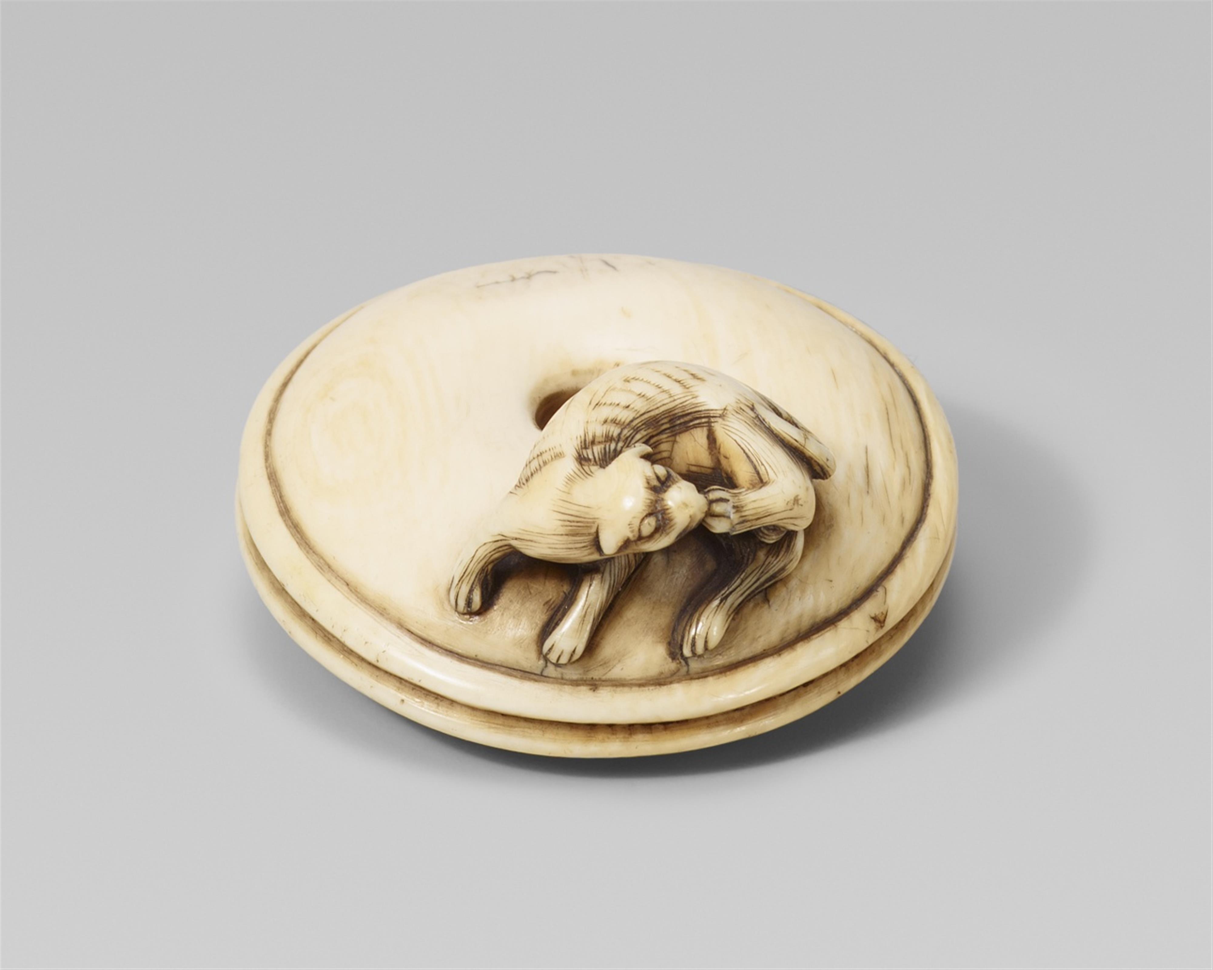 An ivory netsuke of a small skinny dog. 19th century - image-1