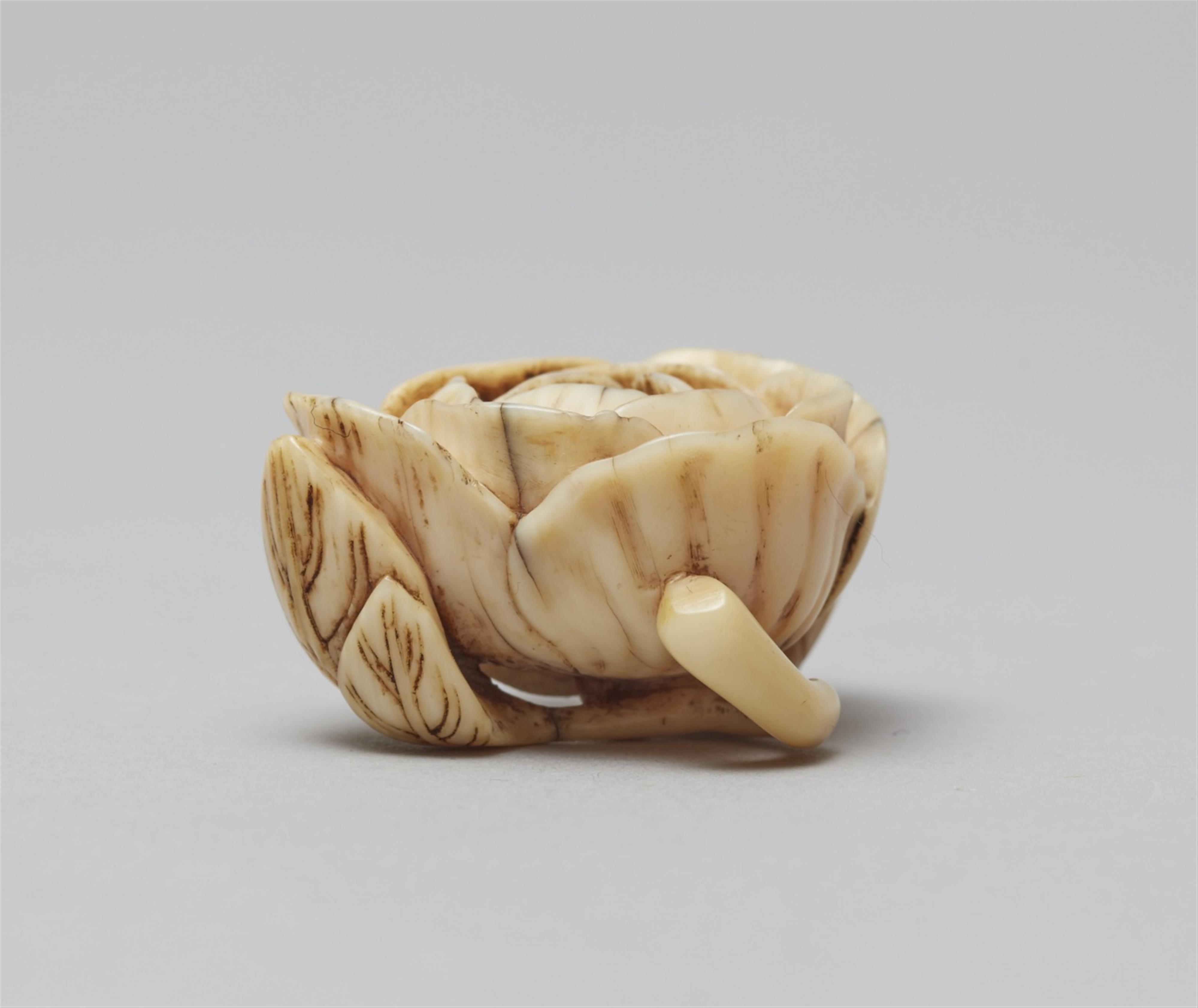 A small ivory netsuke of a peony blossom. Second half 19th century - image-3