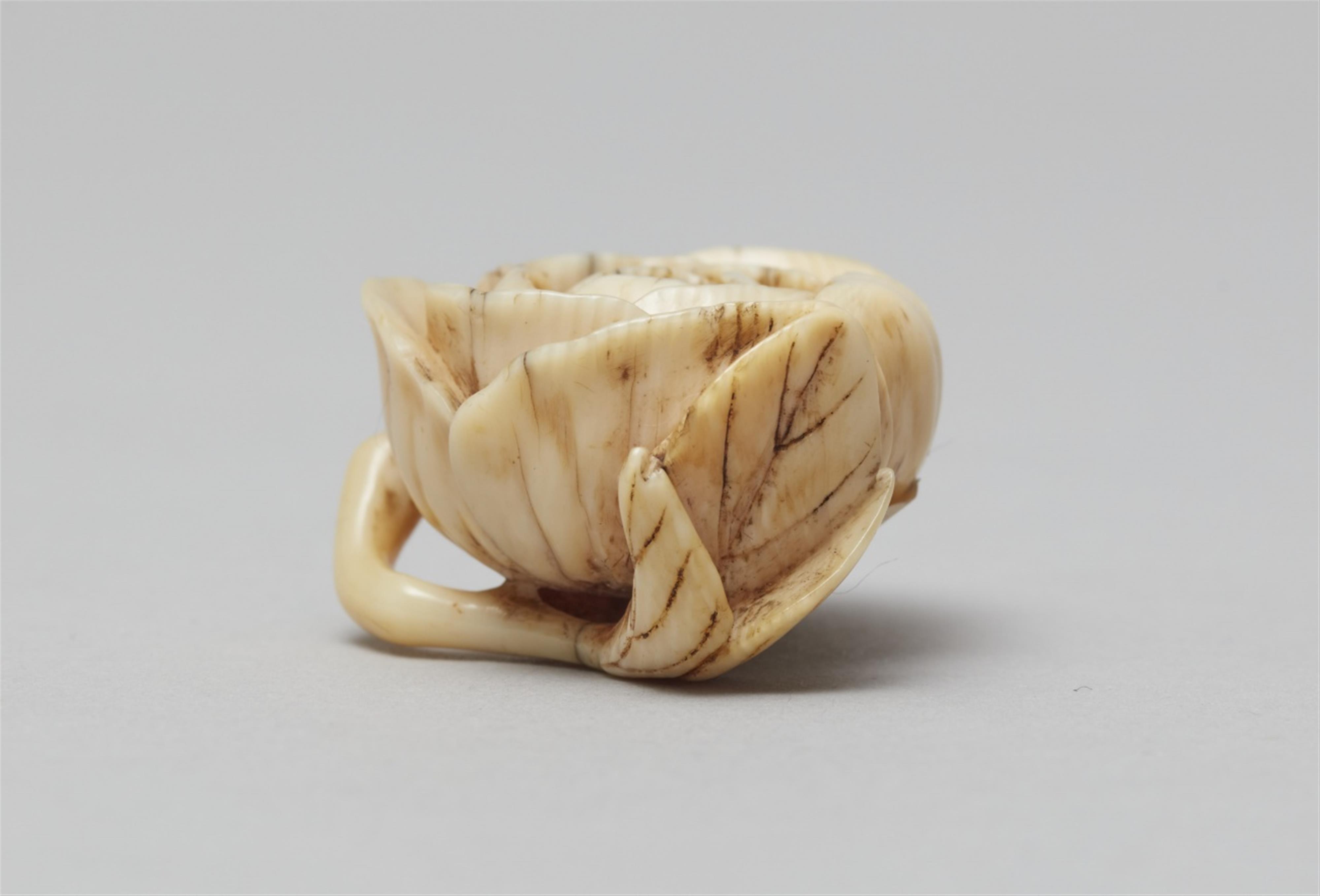 A small ivory netsuke of a peony blossom. Second half 19th century - image-5