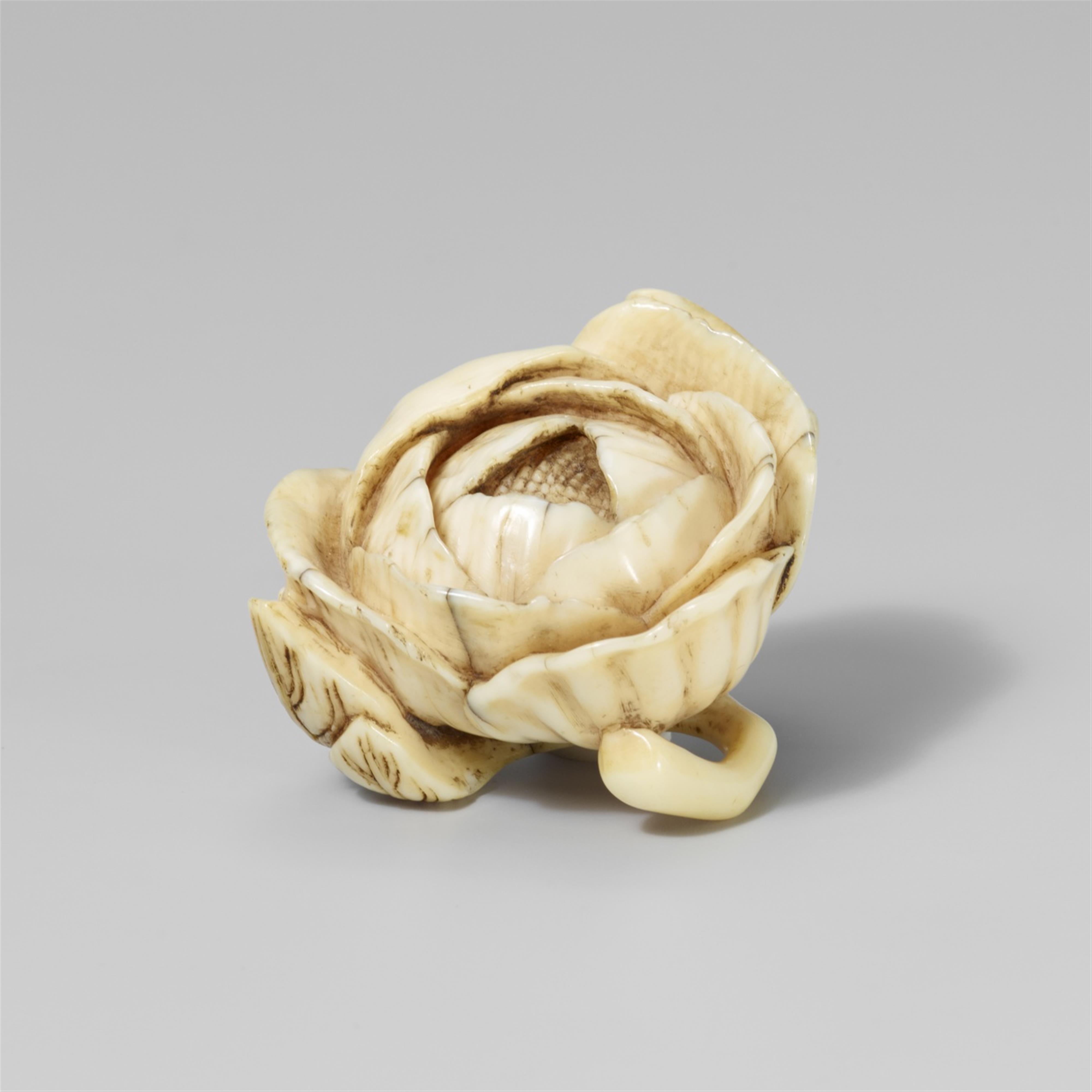 A small ivory netsuke of a peony blossom. Second half 19th century - image-1