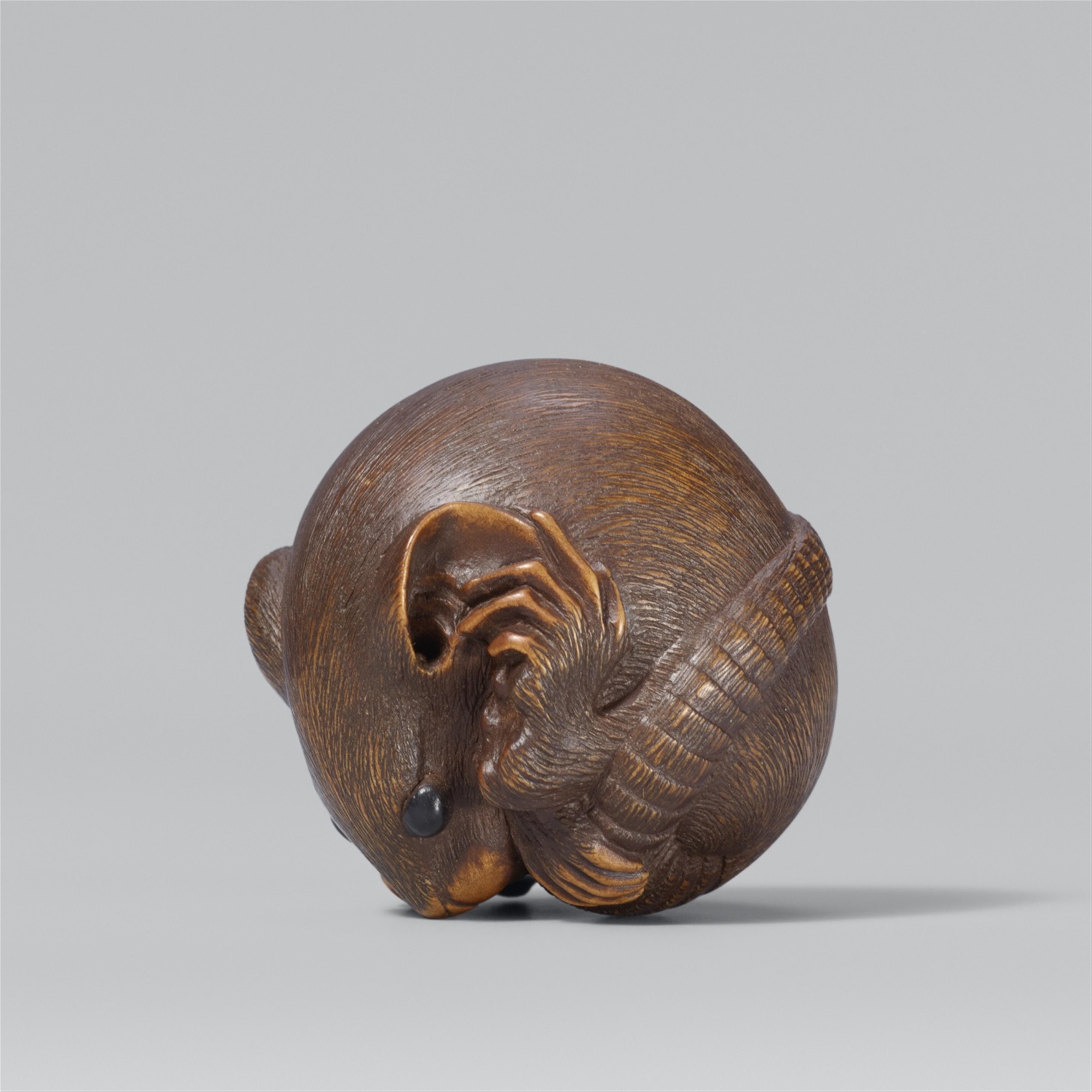 A coiled rat. Boxwood. Late 19th century - image-1