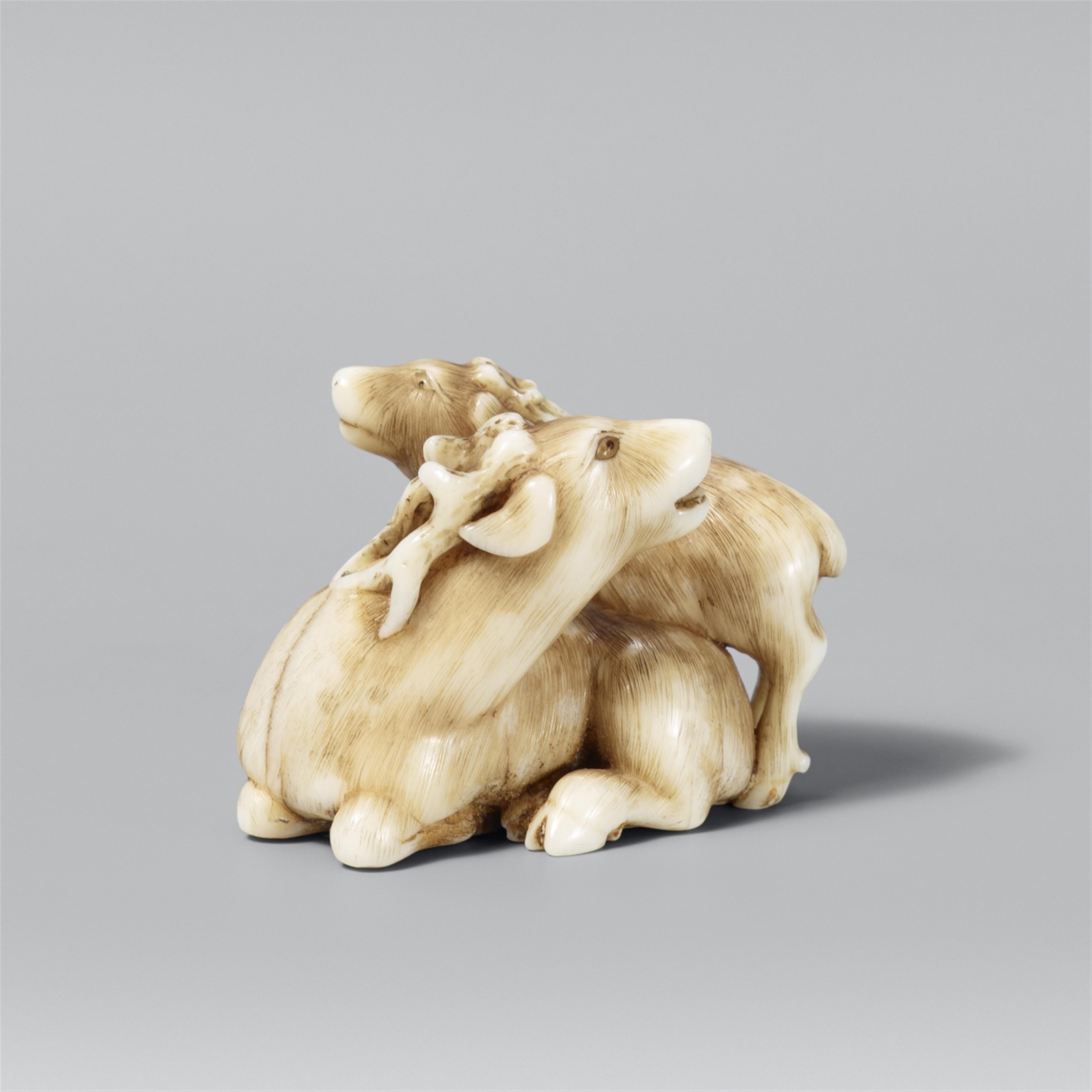 A reclining fallow deer. Ivory. First half 19th century - image-1