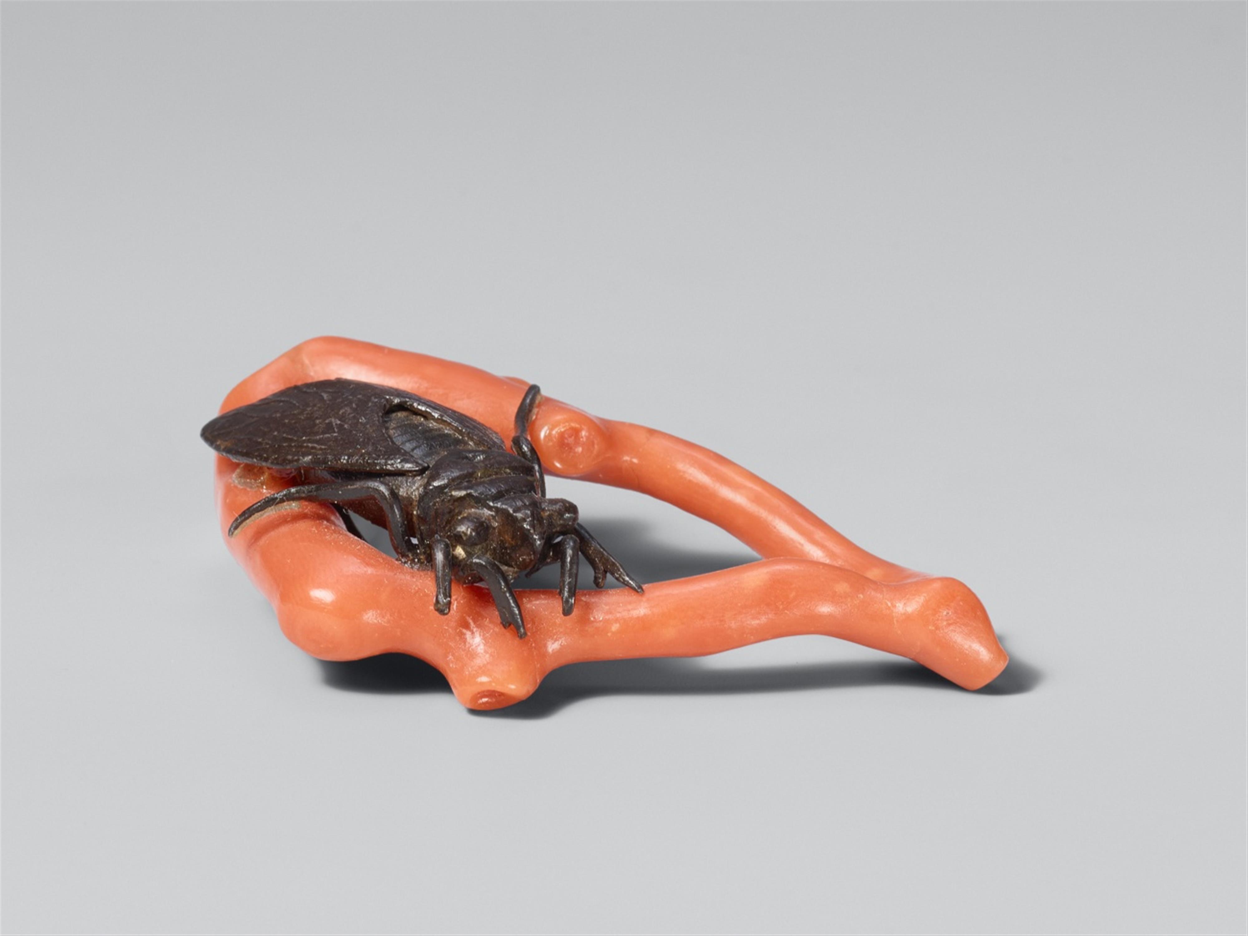 Cicade on a branch. Iron and coral. Last third 19th century - image-1