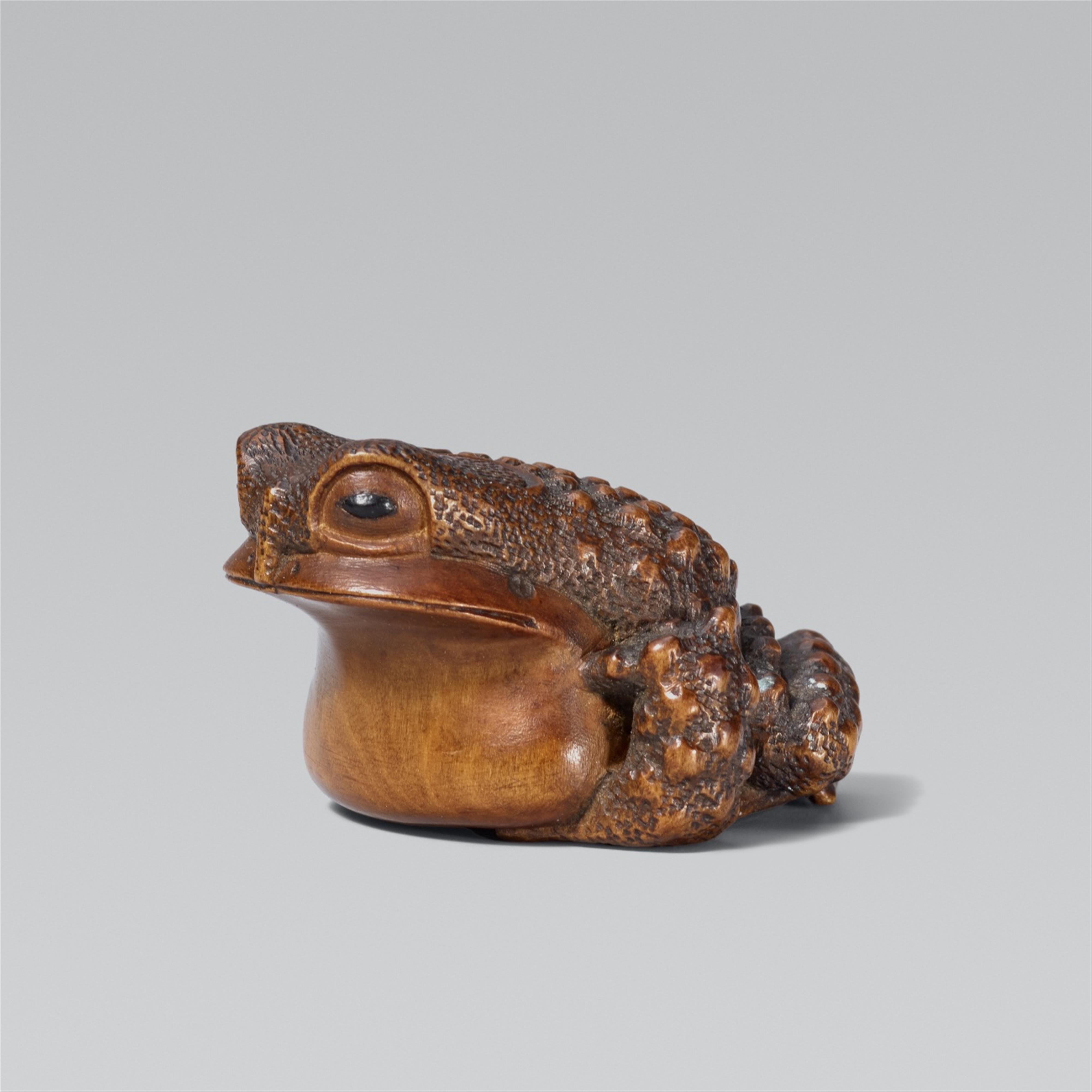 Toad. Boxwood - image-1