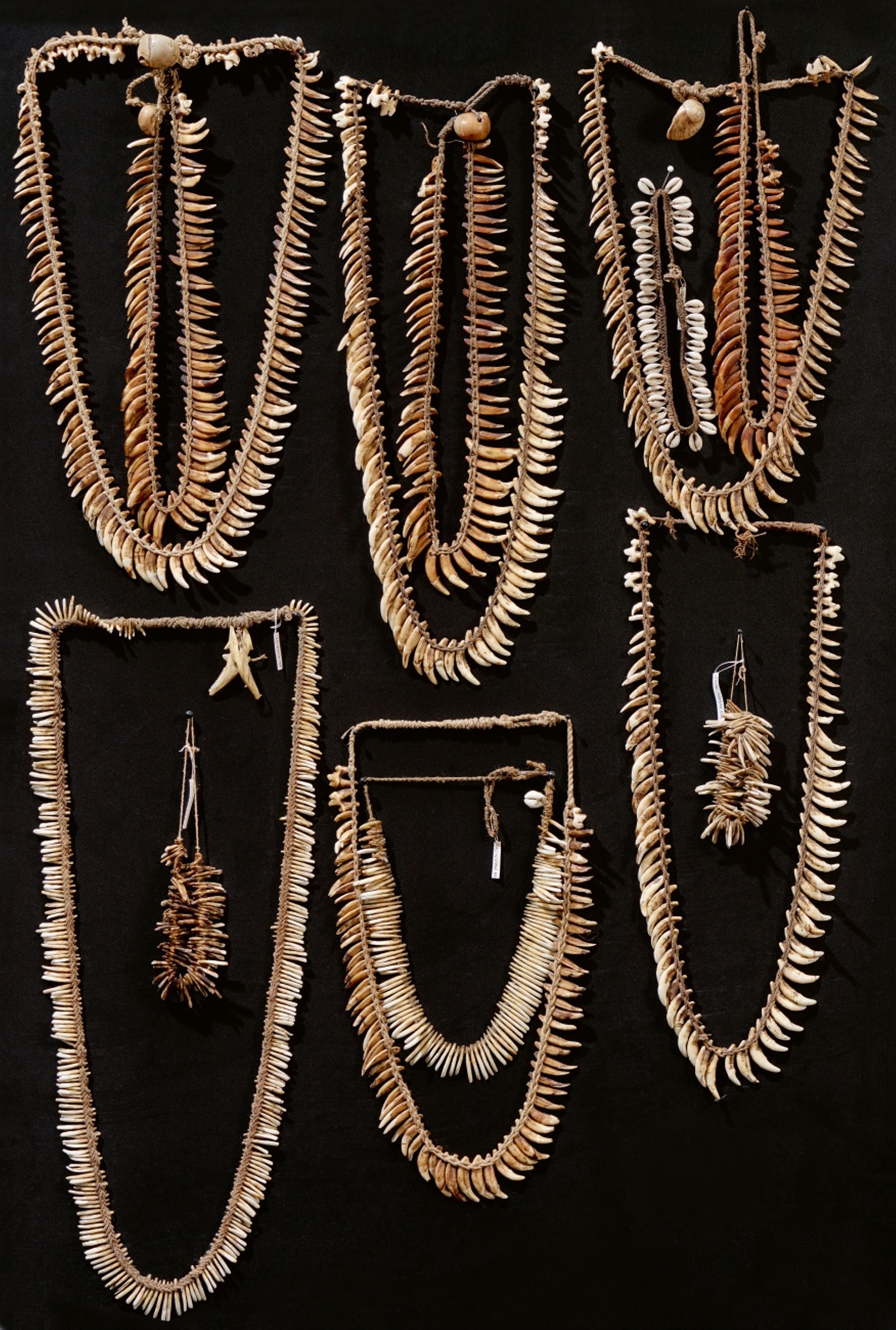 GROUP OF THIRTEEN YALI TOOTH NECKLACES - image-1