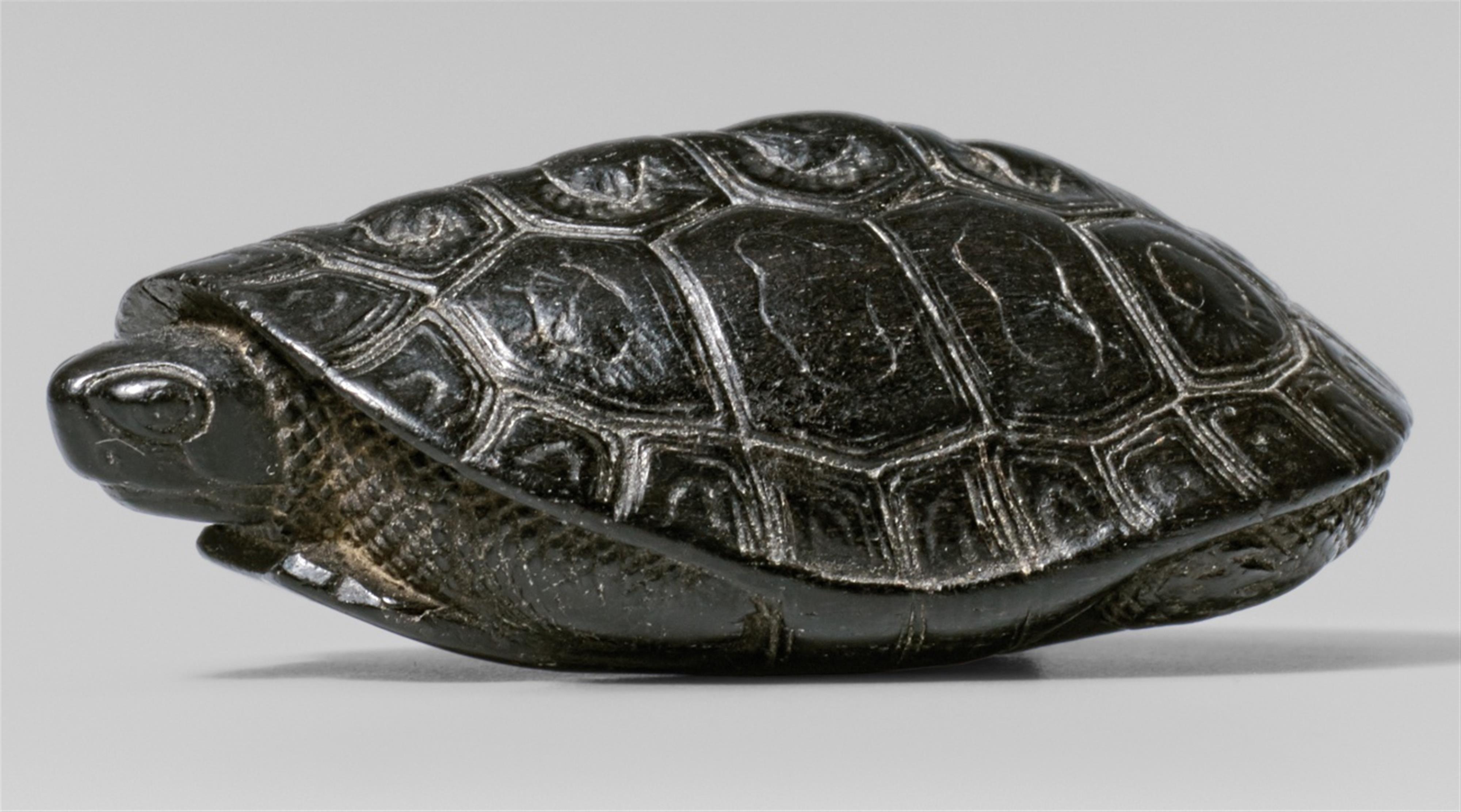 A black wood netsuke of a tortoise. 19th century - image-1