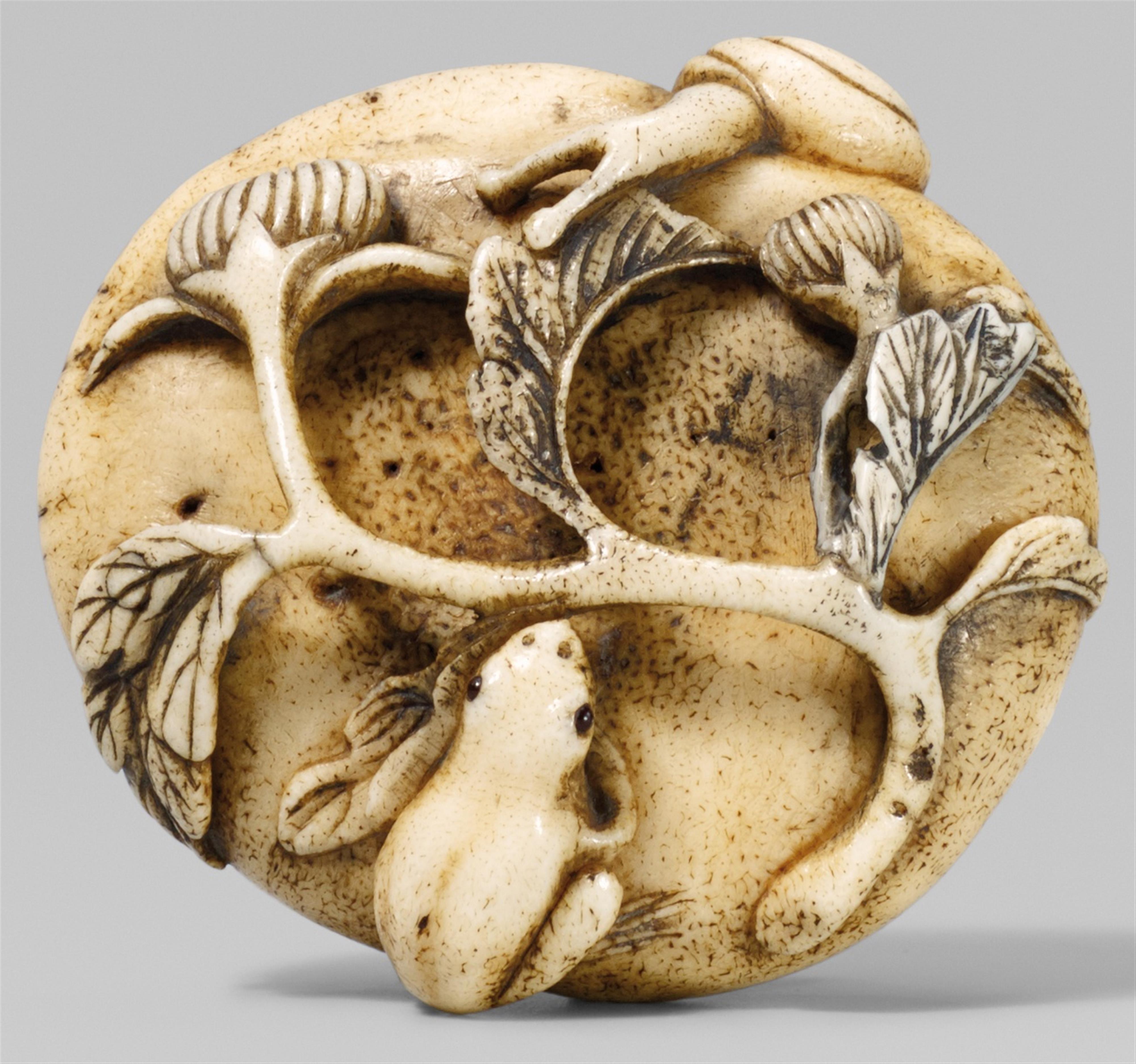 A bone netsuke of a frog and a snail on a mushroom. Late 19th century - image-1