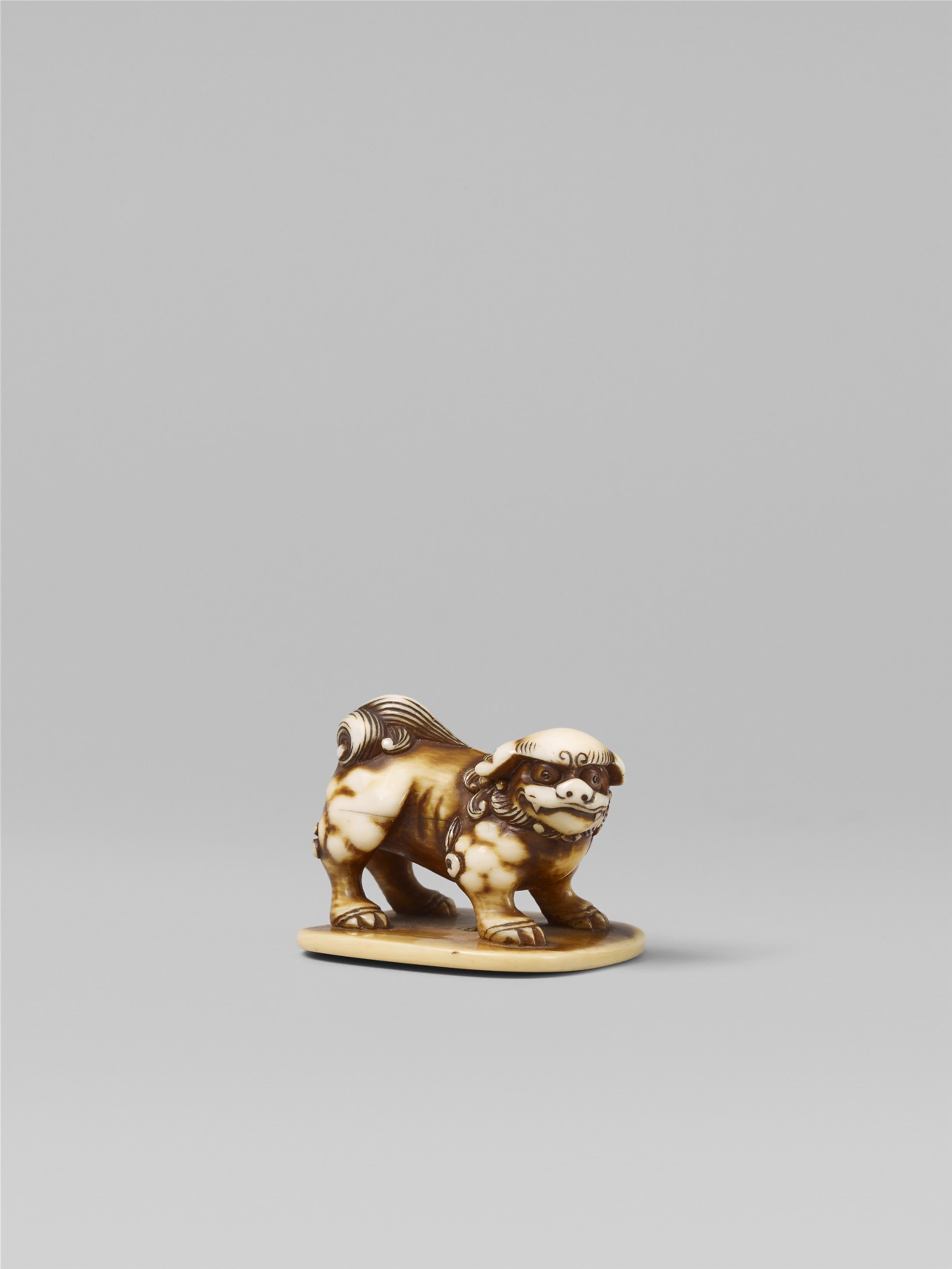 A fine ivory netsuke of a shishi. Second half 19th century - image-1