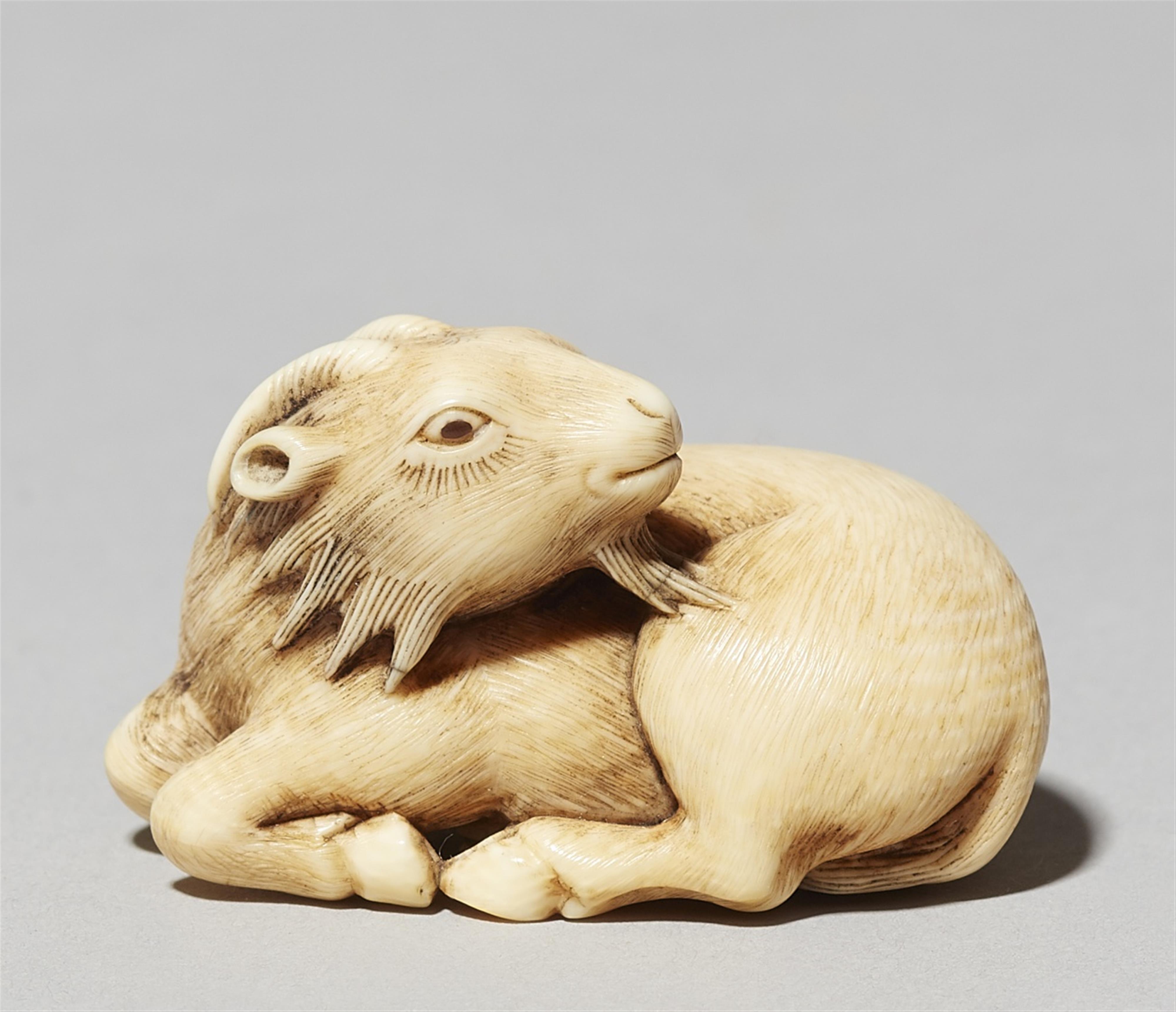 An ivory netsuke of a reclining goat. Late 19th century - image-1