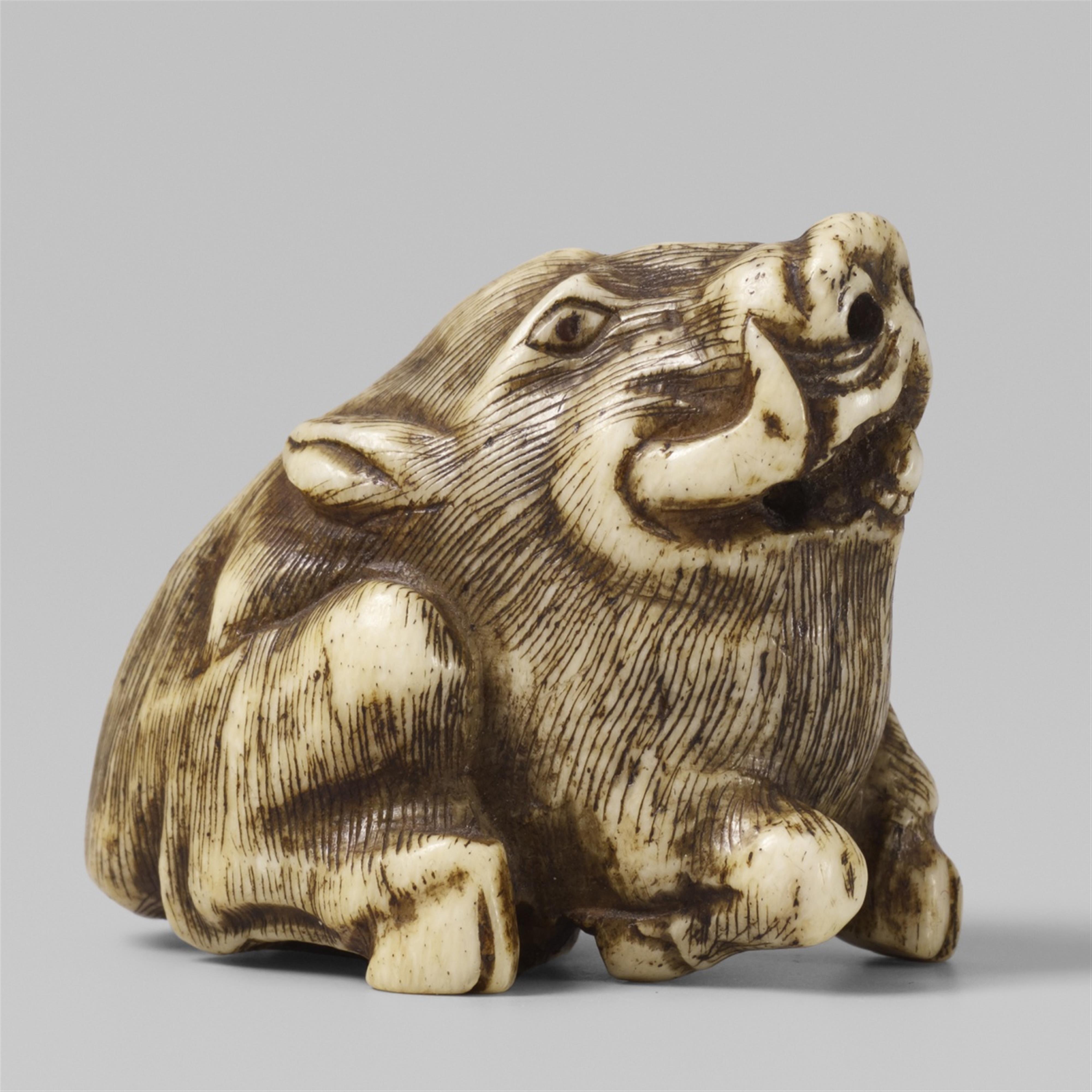 An ivory netsuke of a boar. 19th century - image-1