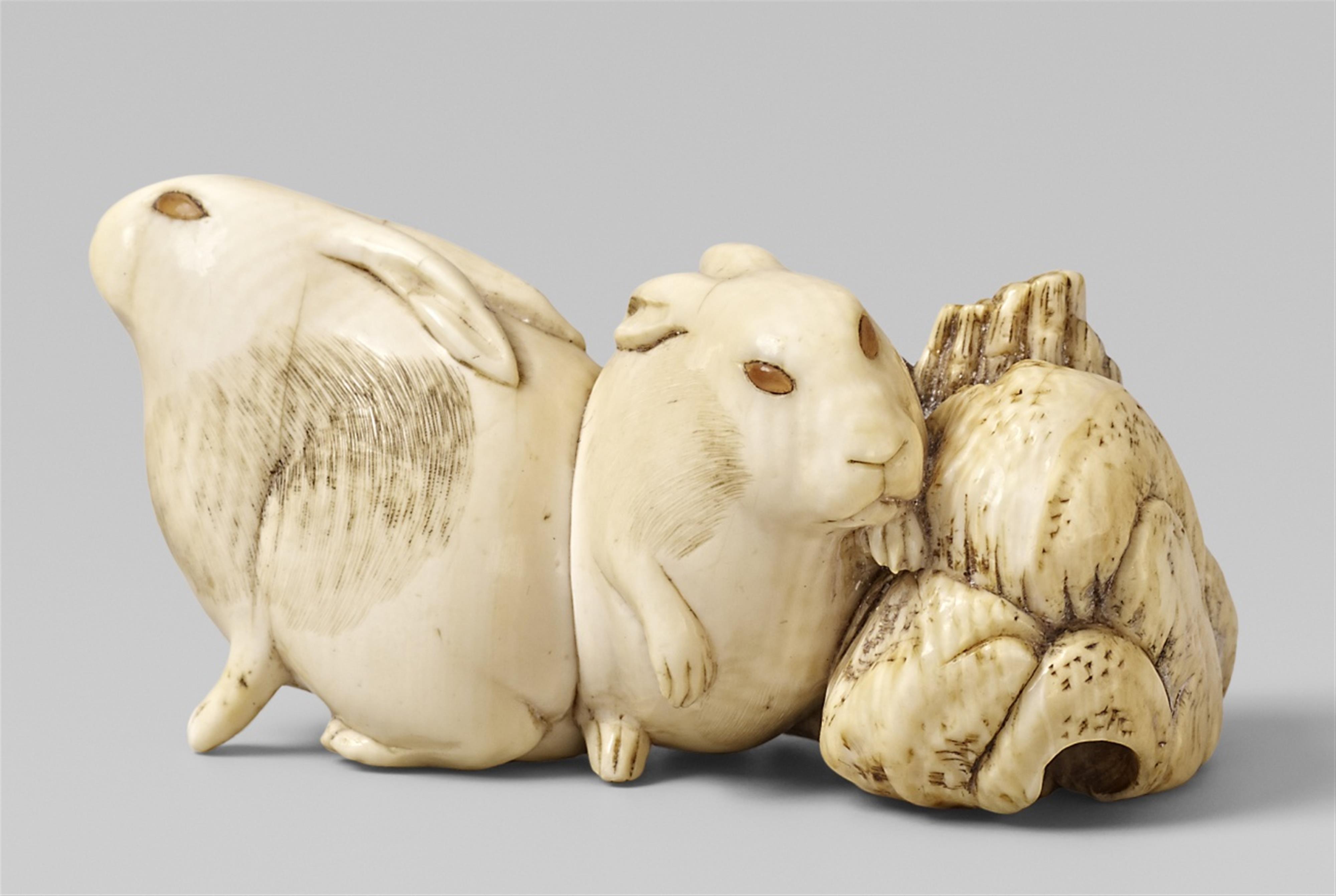 A fine ivory netsuke of two hares next to a rock. 19th century - image-1