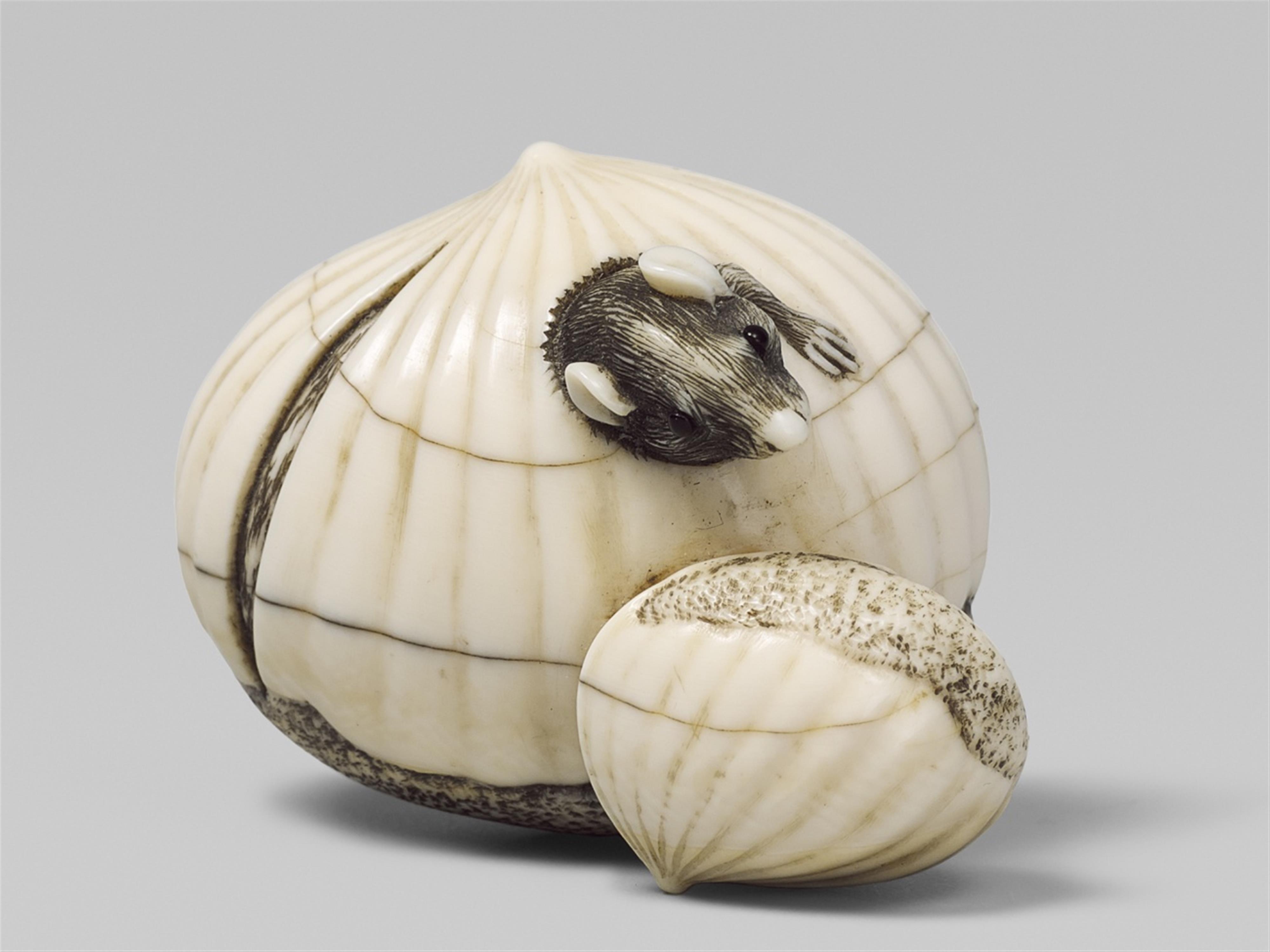 An ivory netsuke of a rat in a chestnut. Second half 19th century - image-1