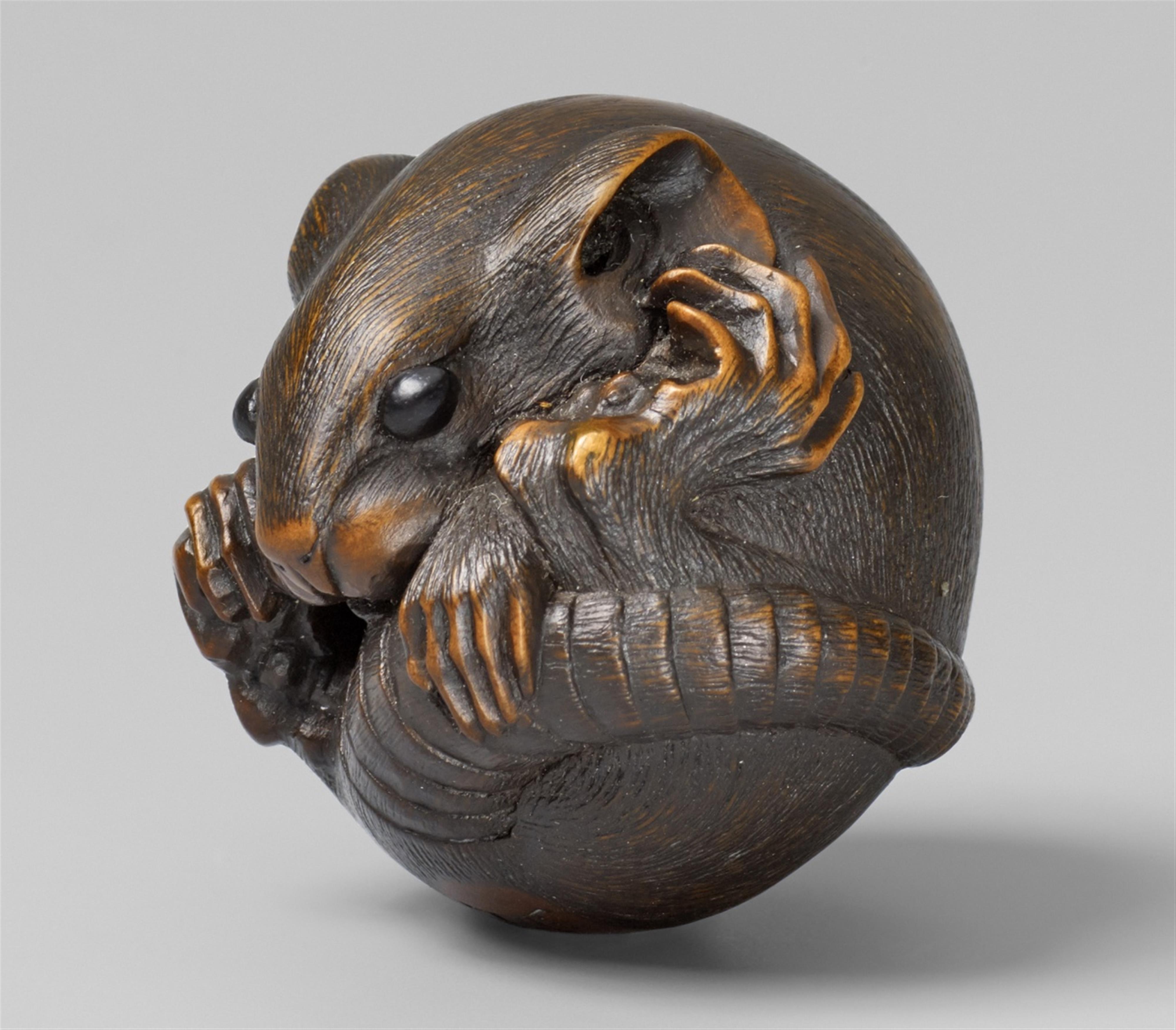 A boxwood netsuke of a coiled rat. 19th century - image-1