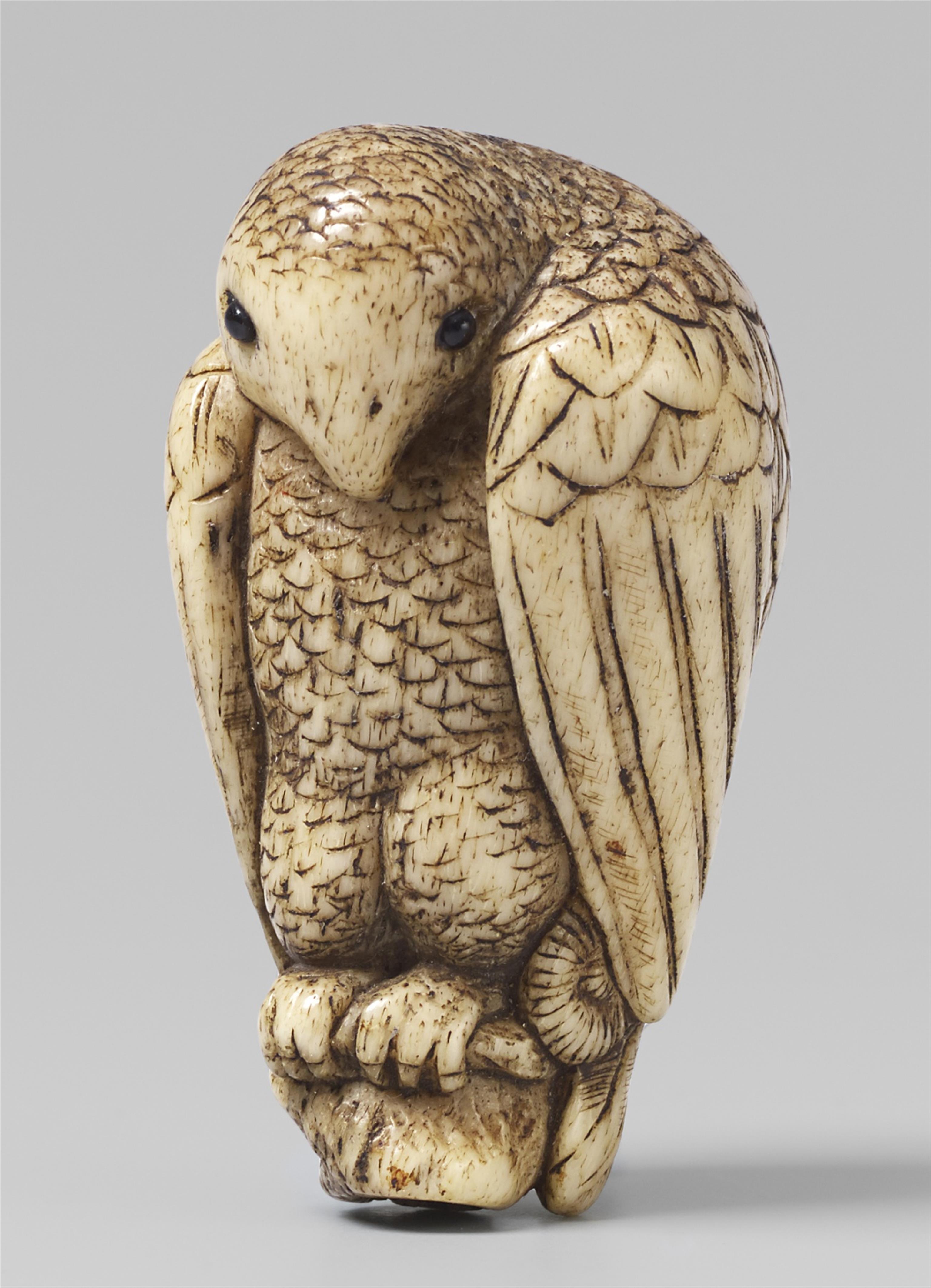 A stag antler netsuke of a parrot. 19th century - image-1