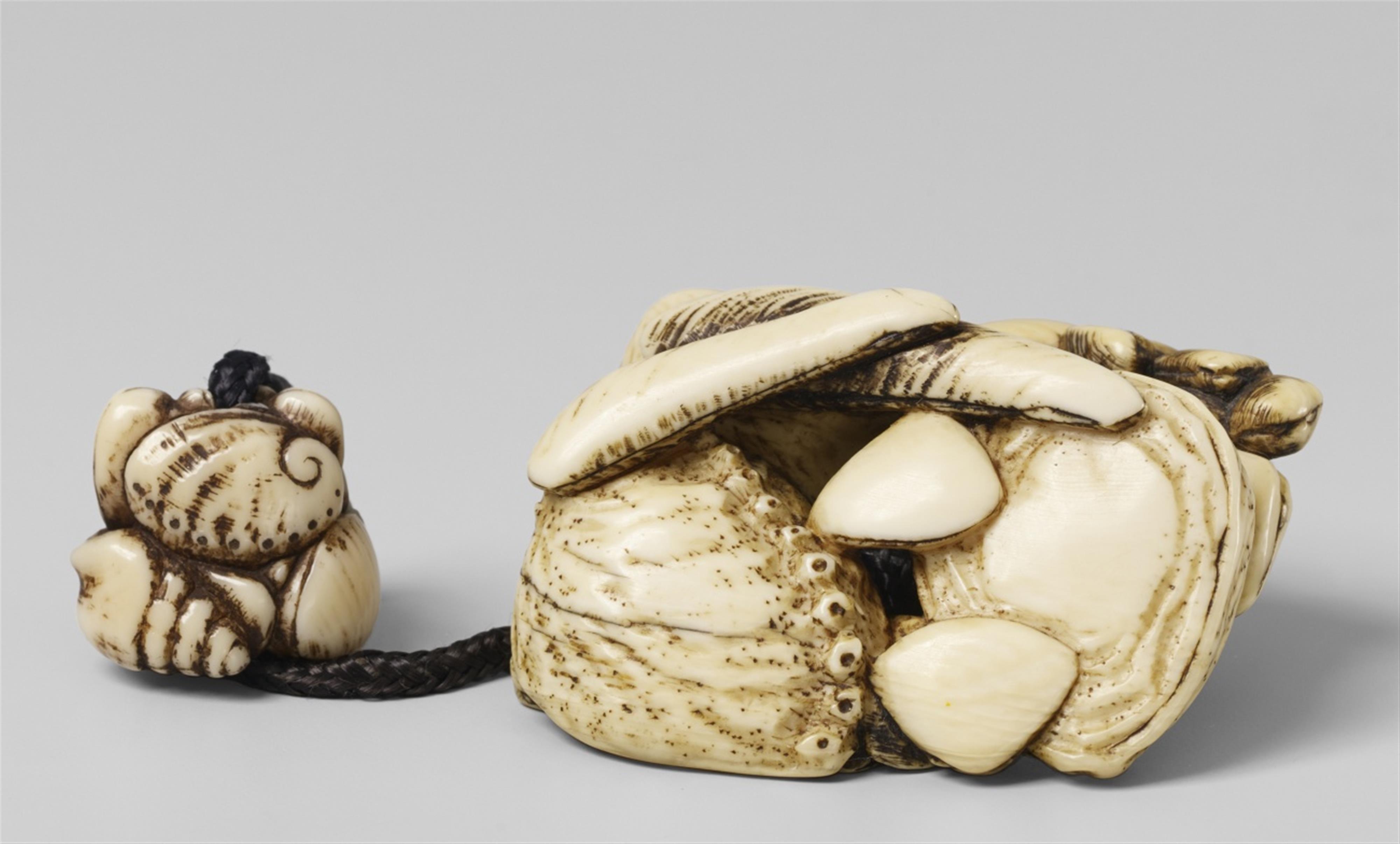 An ivory netsuke of a cluster of shells. First half 19th century - image-1