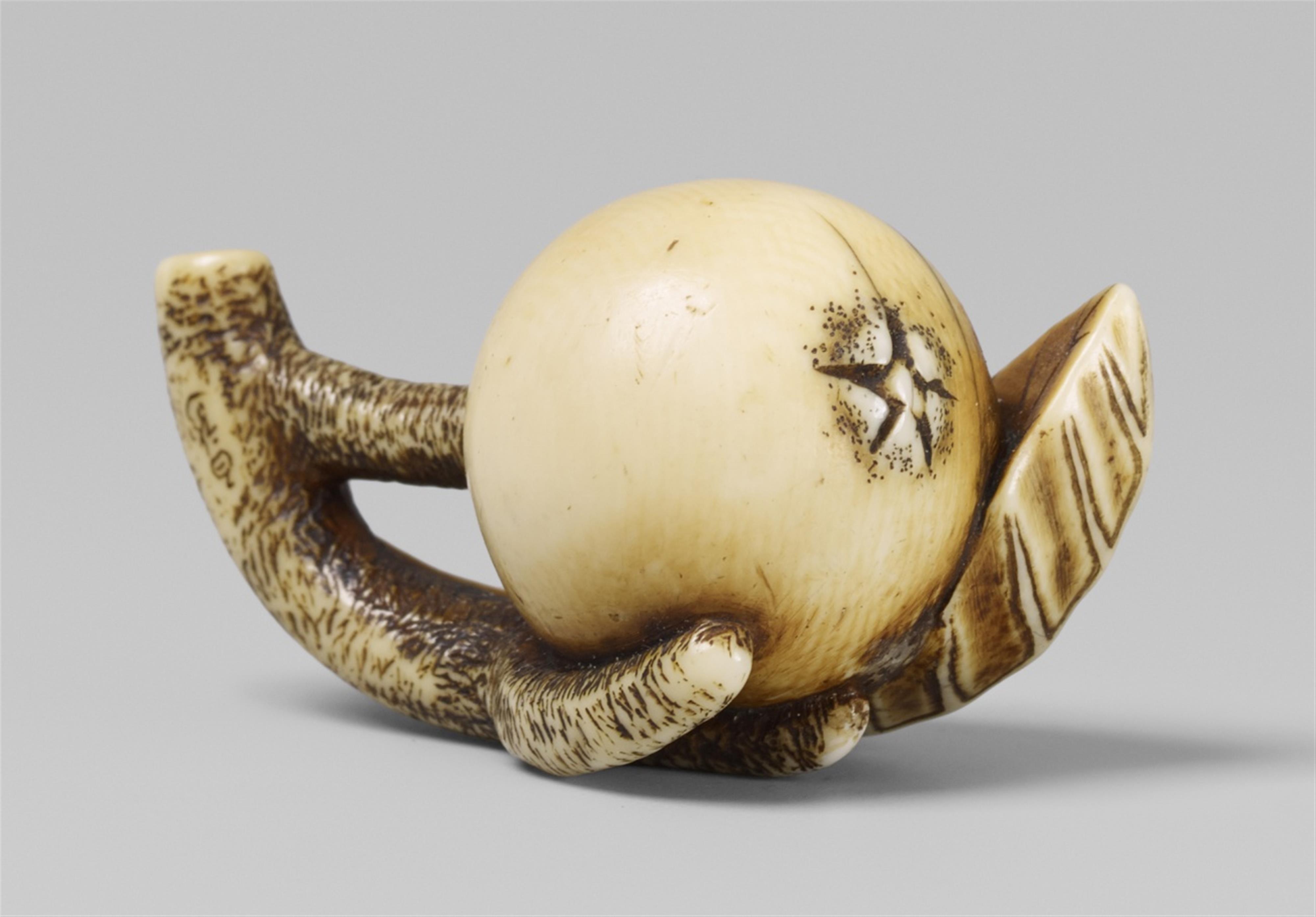 An ivory netsuke of a biwa. Second half 19th century - image-1