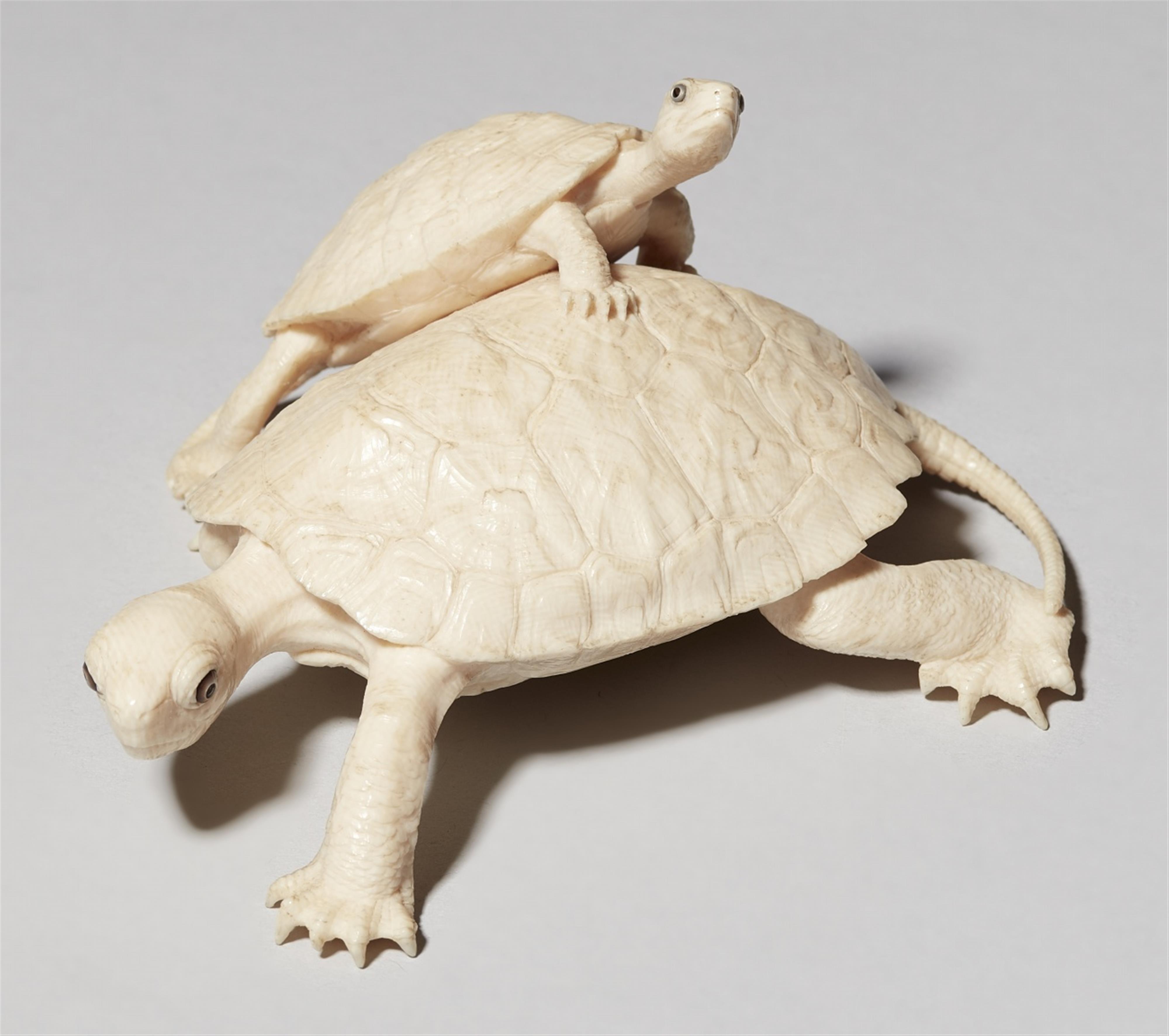 An ivory okimono of two tortoises. Late 19th entury - image-1