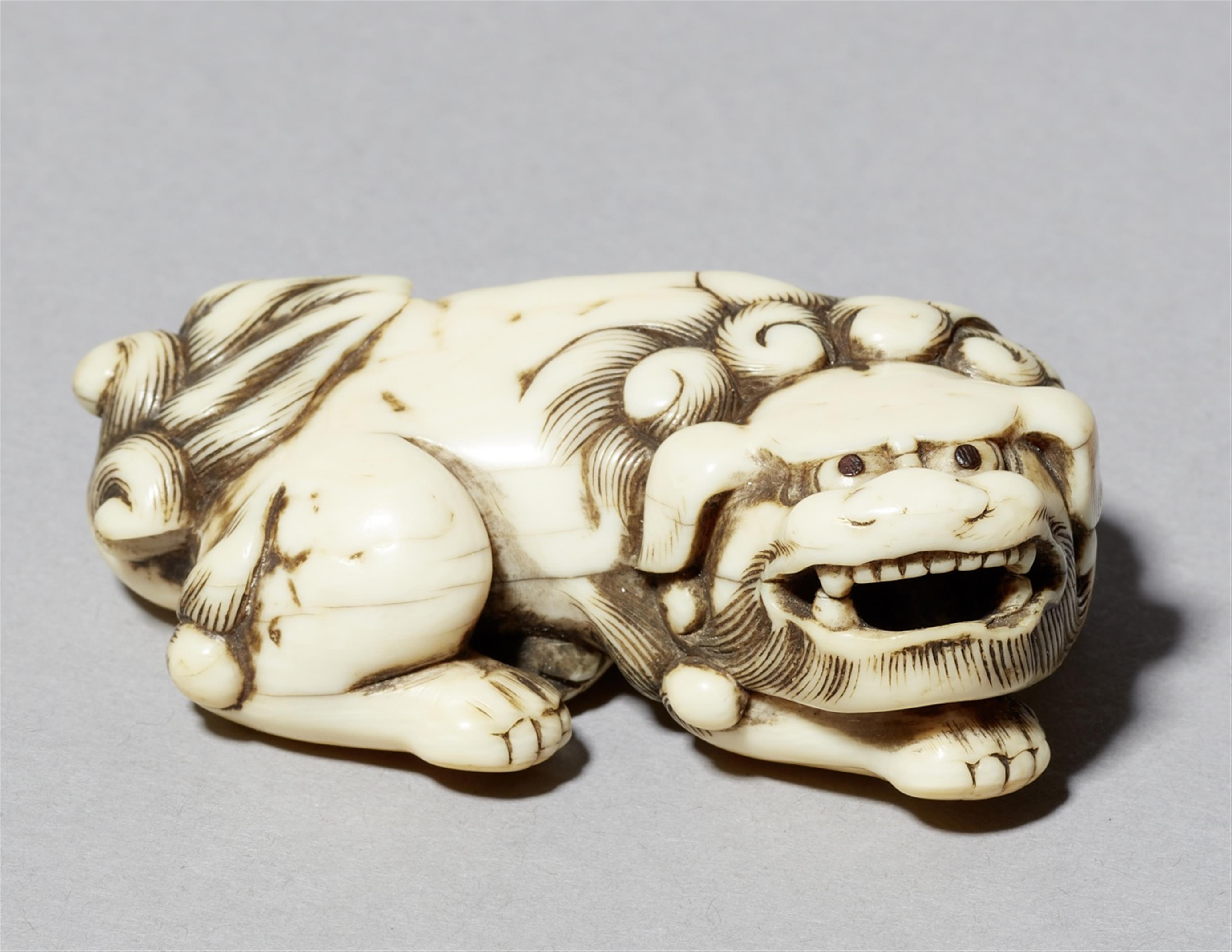 An ivory netsuke of a shishi. 18th century - image-1