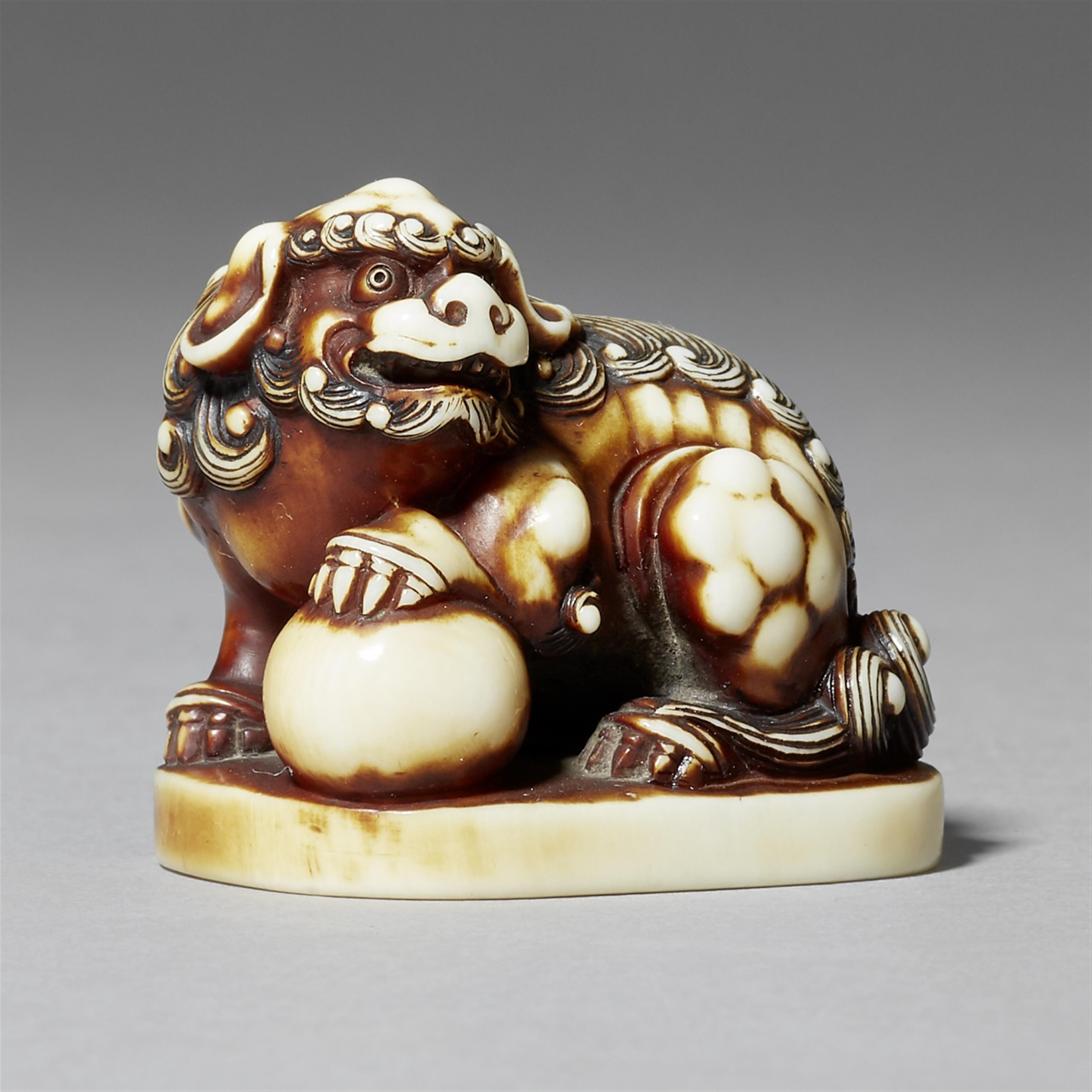 A fine ivory netsuke of a shishi with a ball, by Gyokusai. Late 19th century - image-1