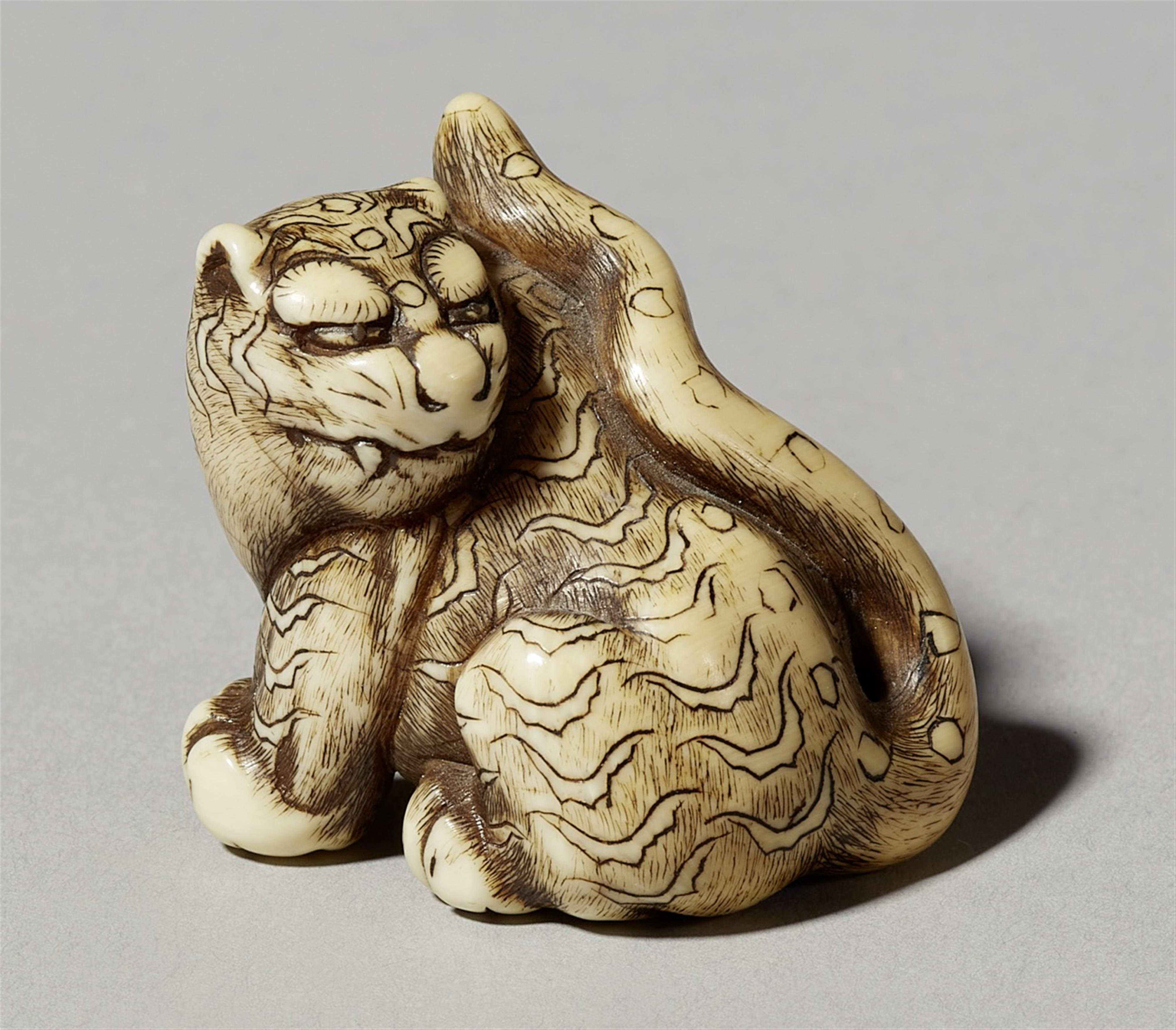 An ivory netsuke of a tiger. Mid-19th century - image-1