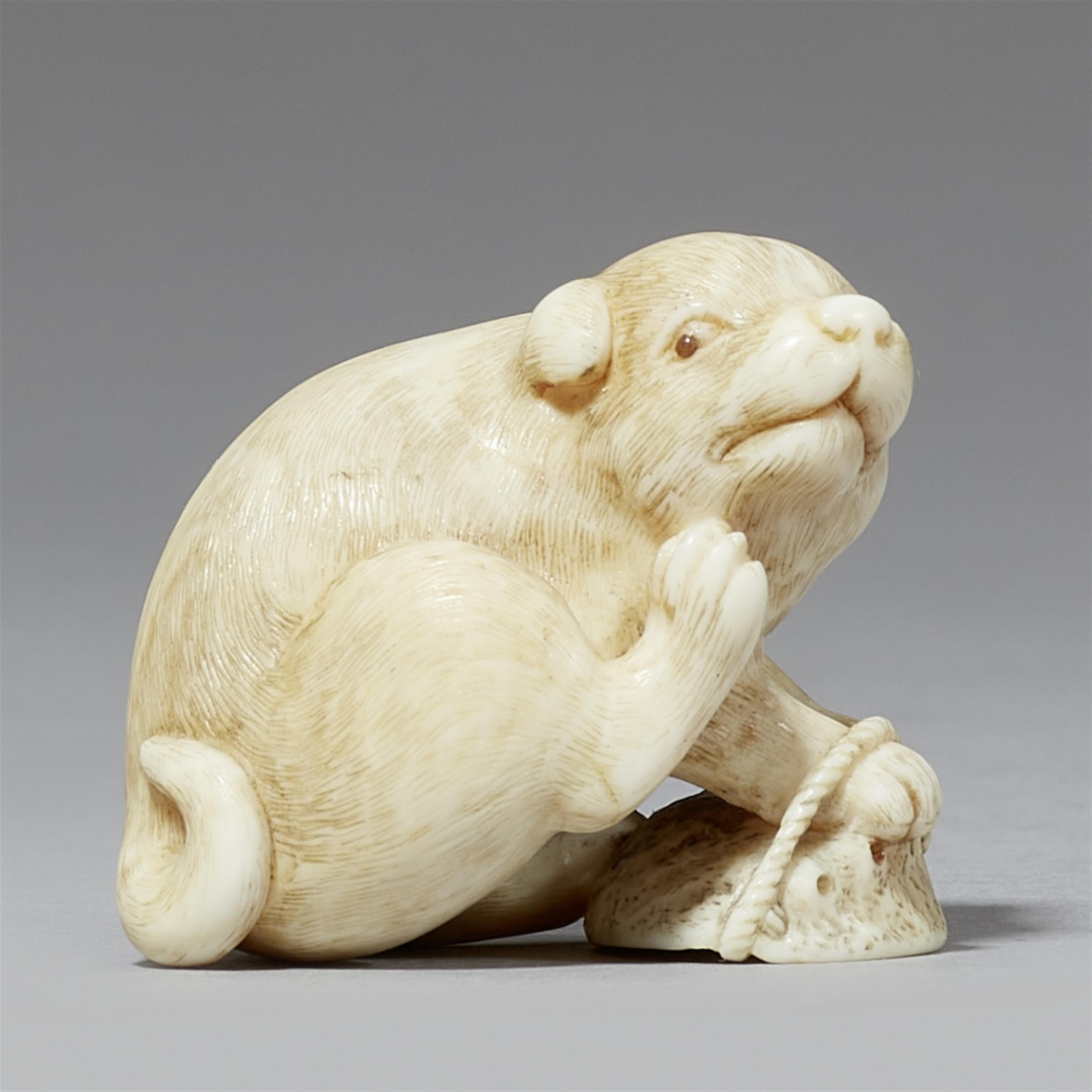 A Kyoto school ivory netsuke of a puppy with an awabi-shell. Early 19th century - image-1