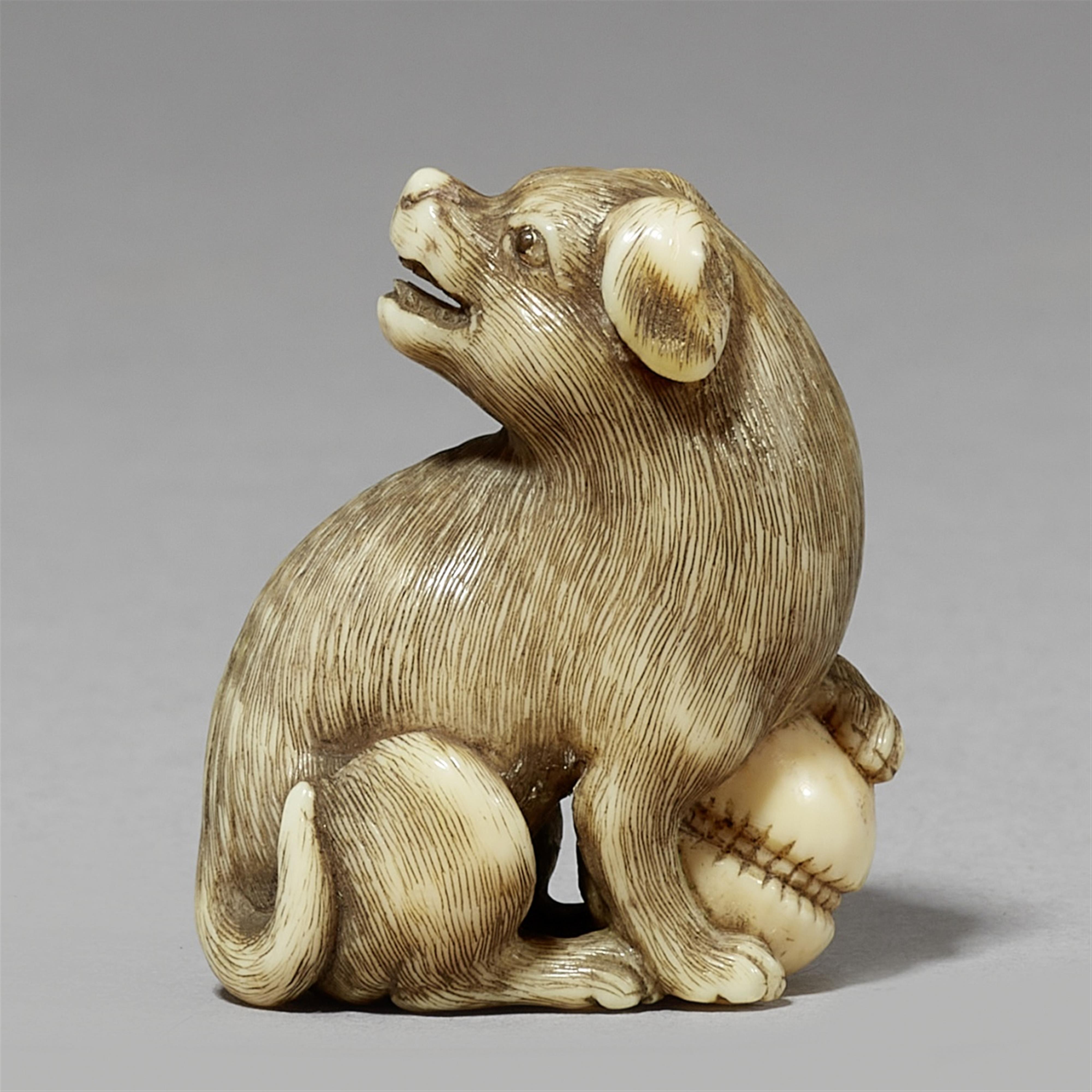 A fine ivory netsuke of a dog with a kemari ball. Early 19th century - image-1