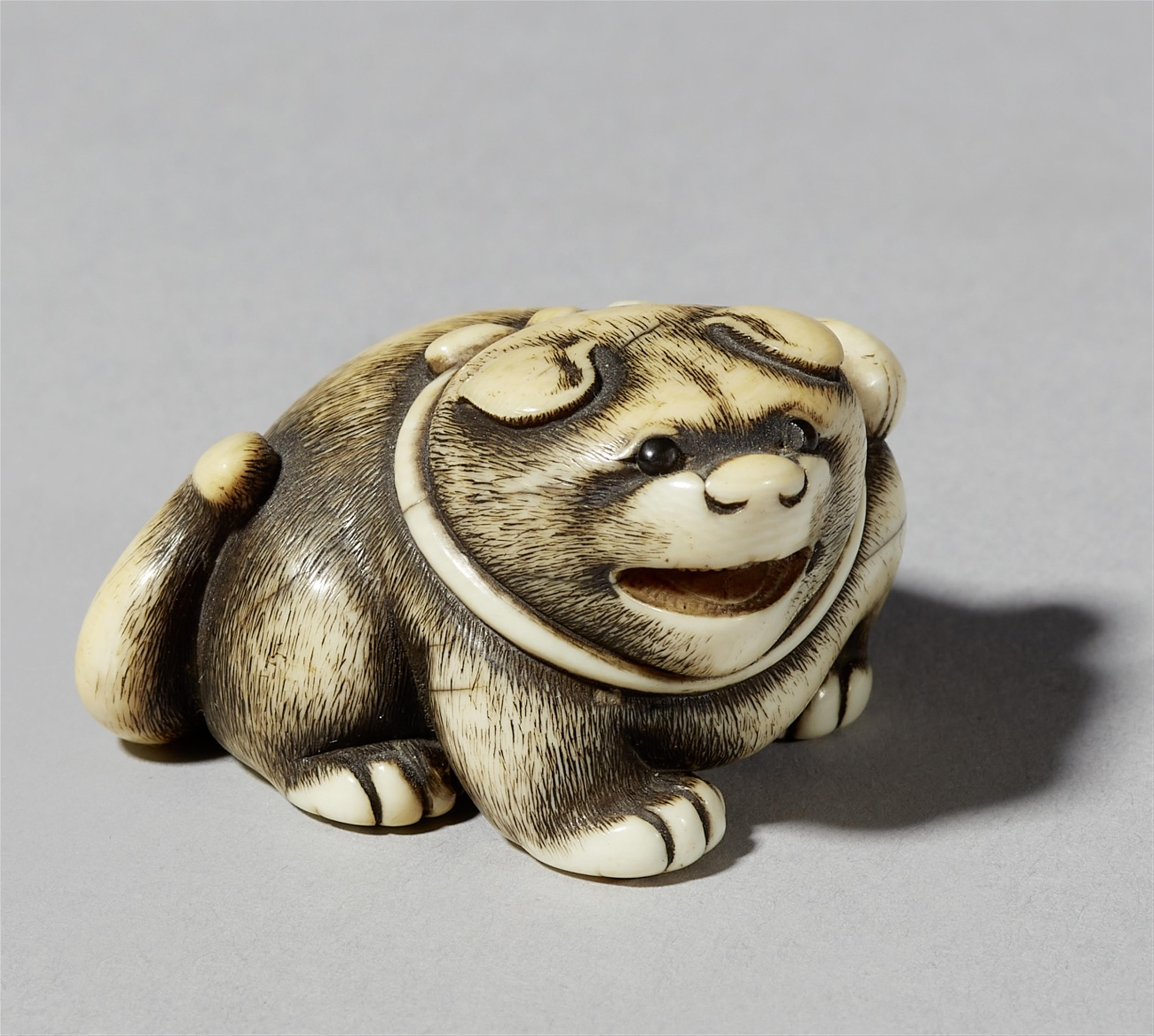 An ivory netsuke of a barking dog. Early 19th century - image-1