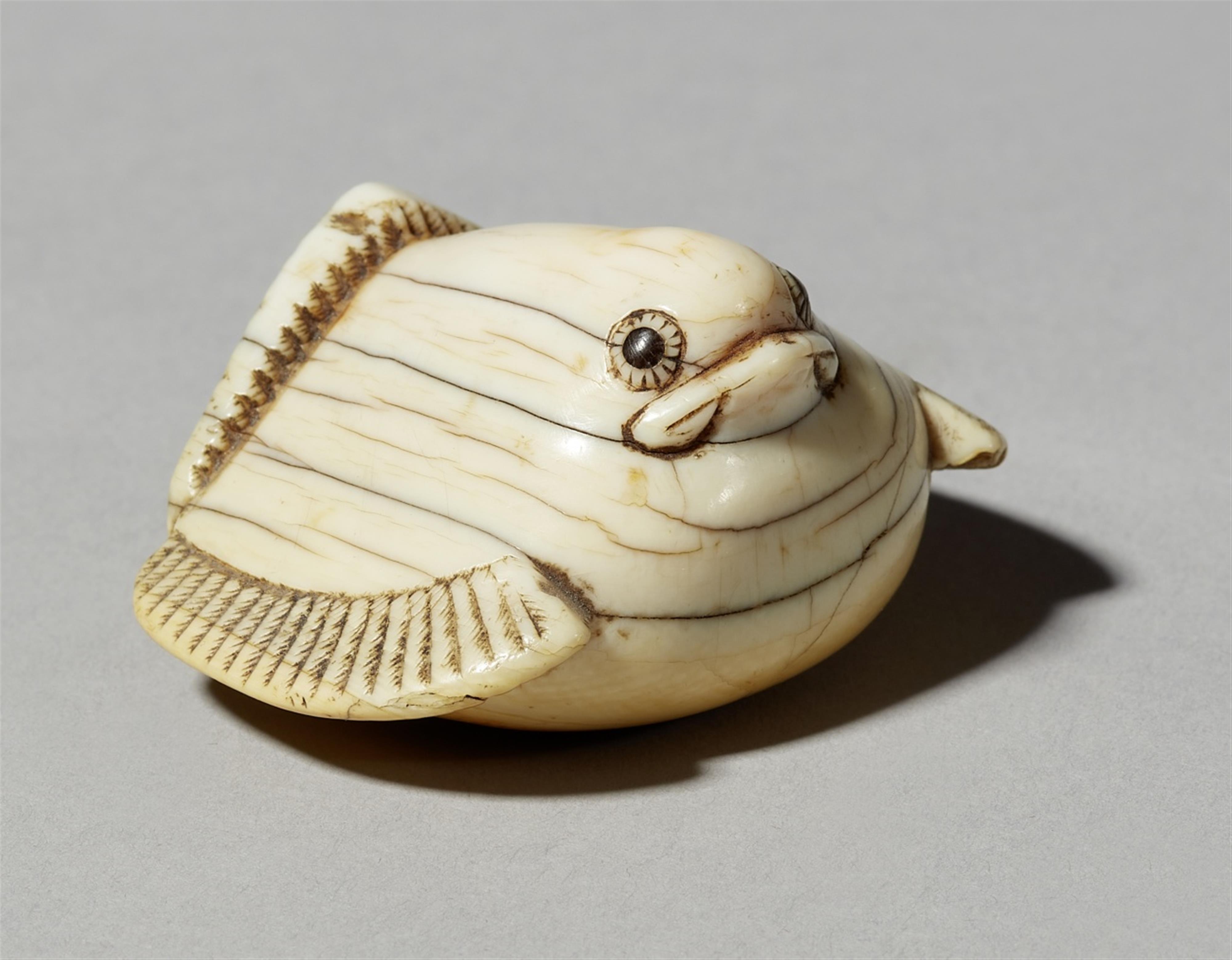 An ivory netsuke of a fukurasuzume, by Genkô. Kyoto. Late 18th century - image-1