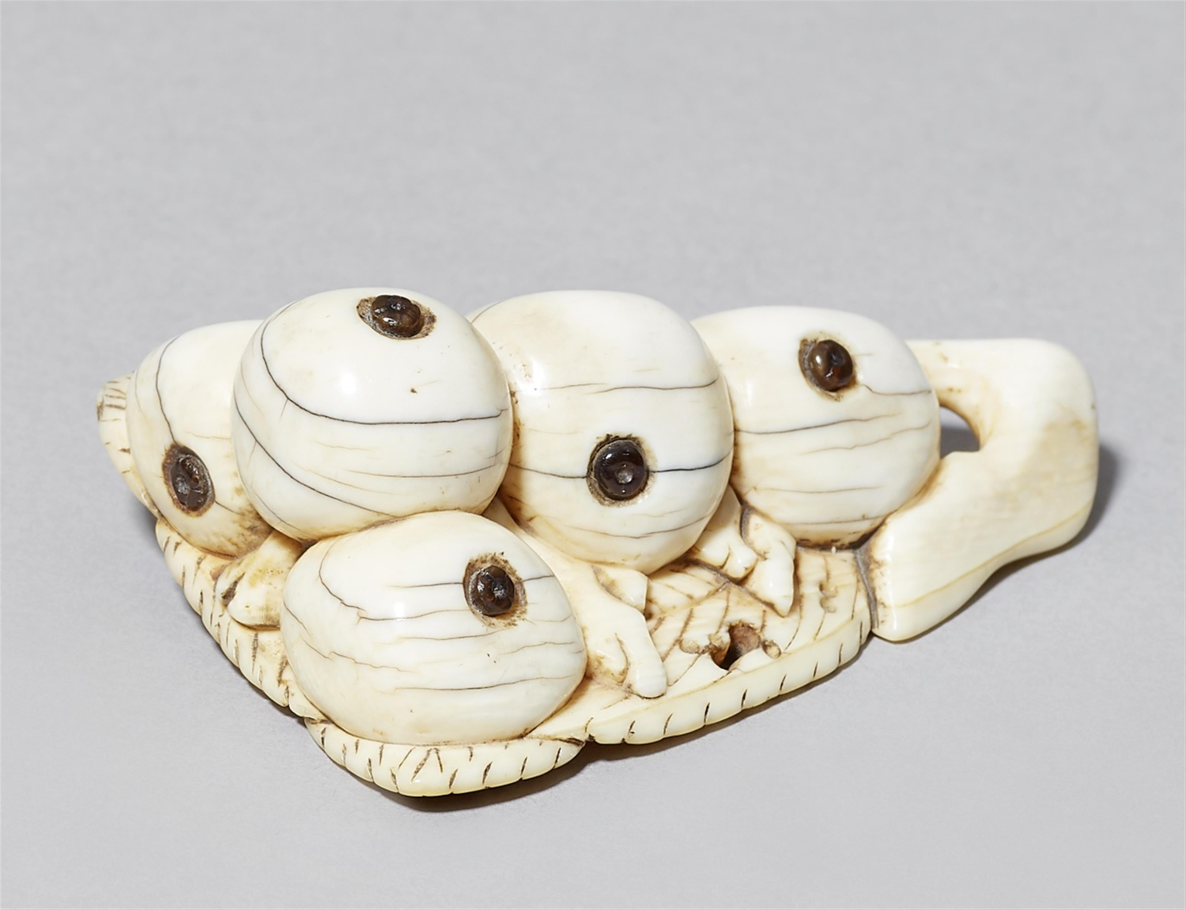 An ivory netsuke of medlars. 18th century - image-1