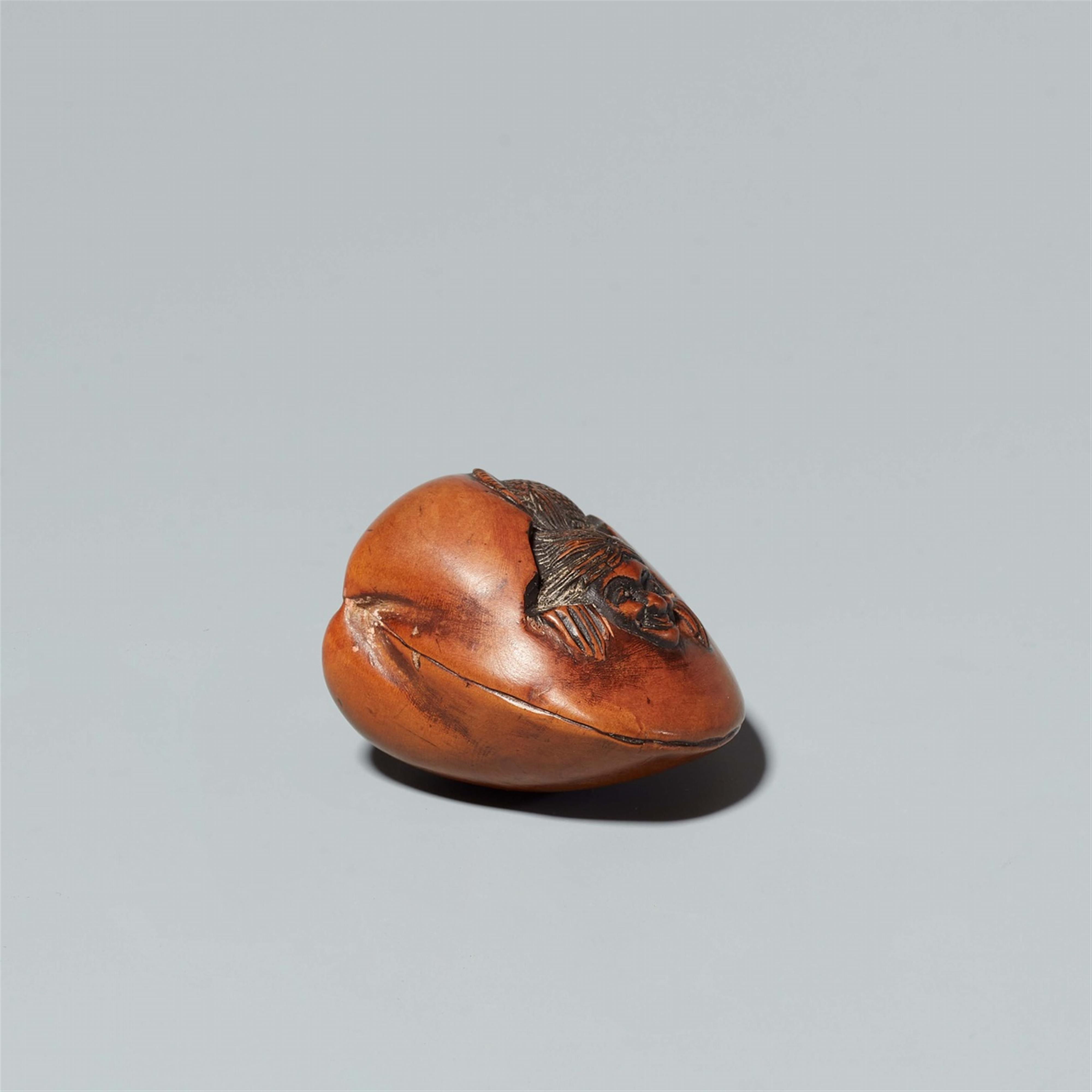 A boxwood netsuke of Ama on a shell. Late 19th century - image-2