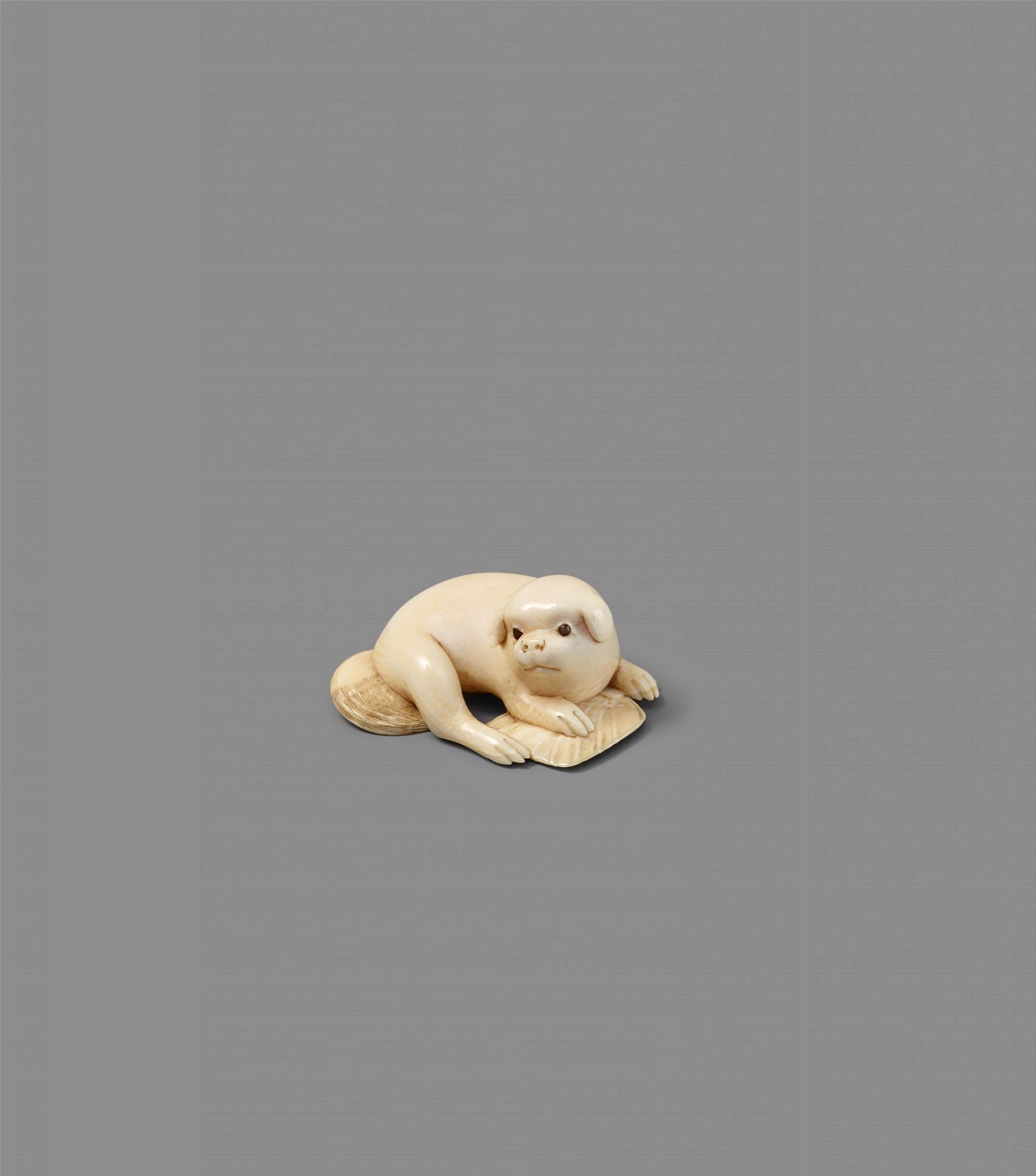 A Tokyo school ivory netsuke of a puppy on a fan, by Gyokuyôsai. Mid-19th century - image-1