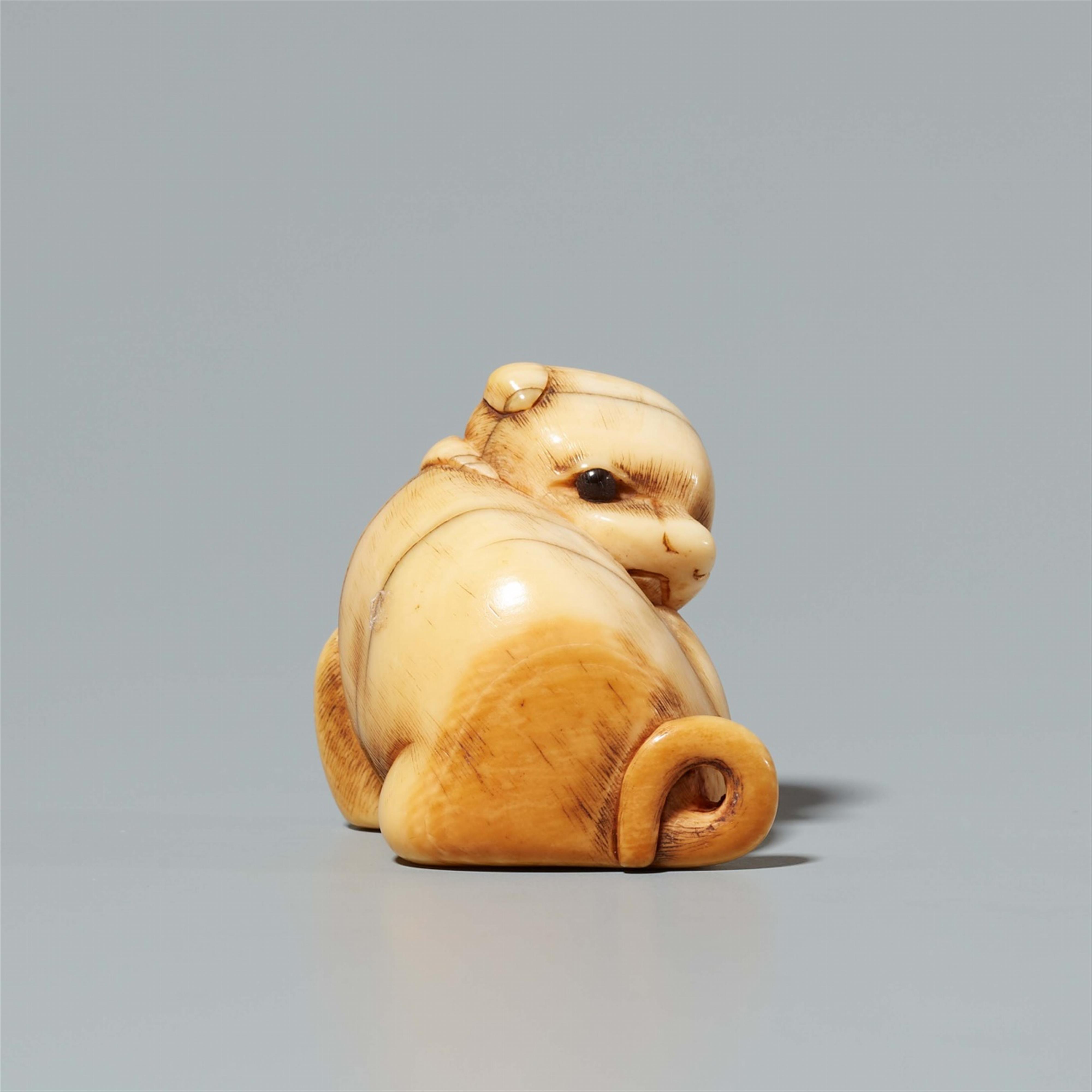 An ivory netsuke of a dog. 18th century - image-2