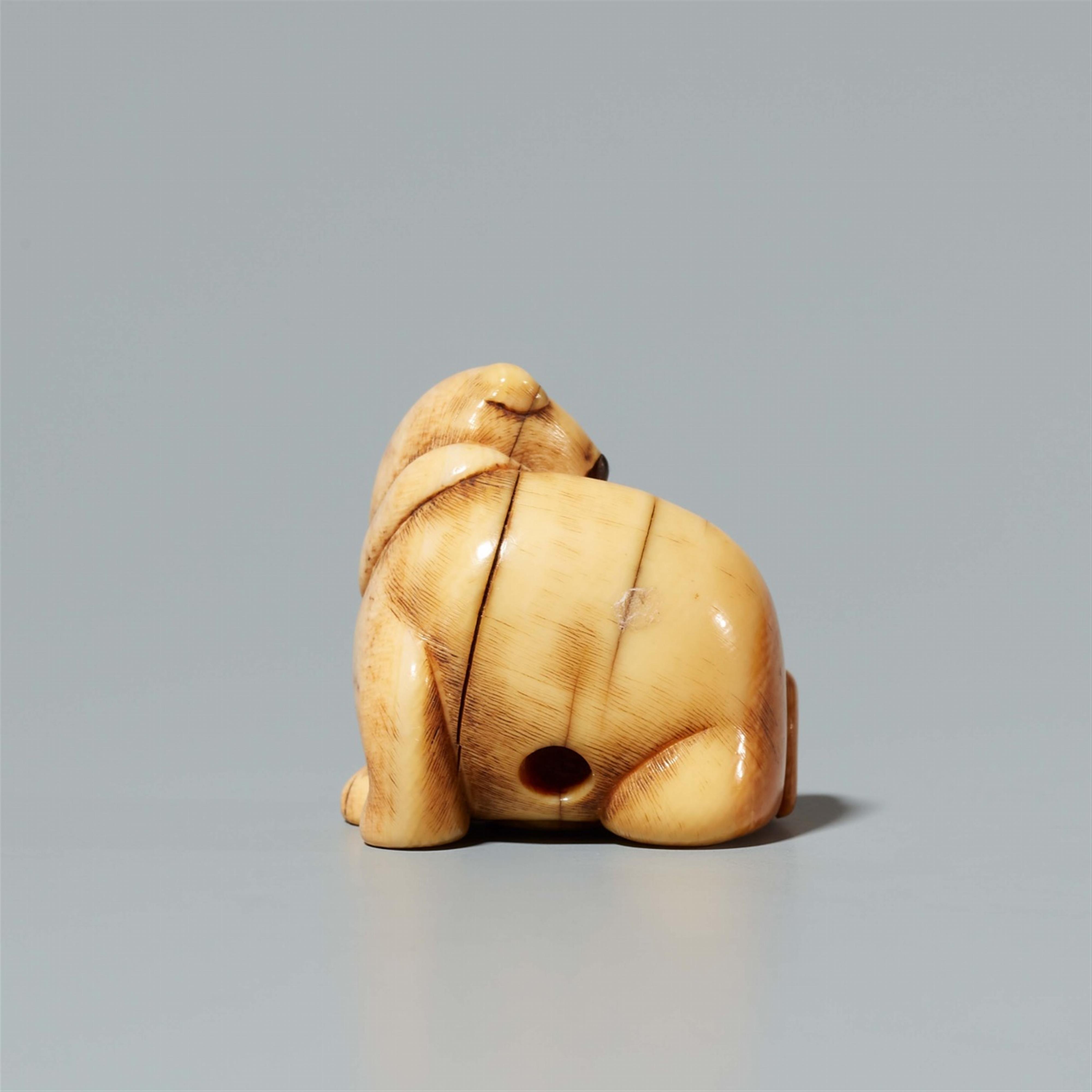 An ivory netsuke of a dog. 18th century - image-3