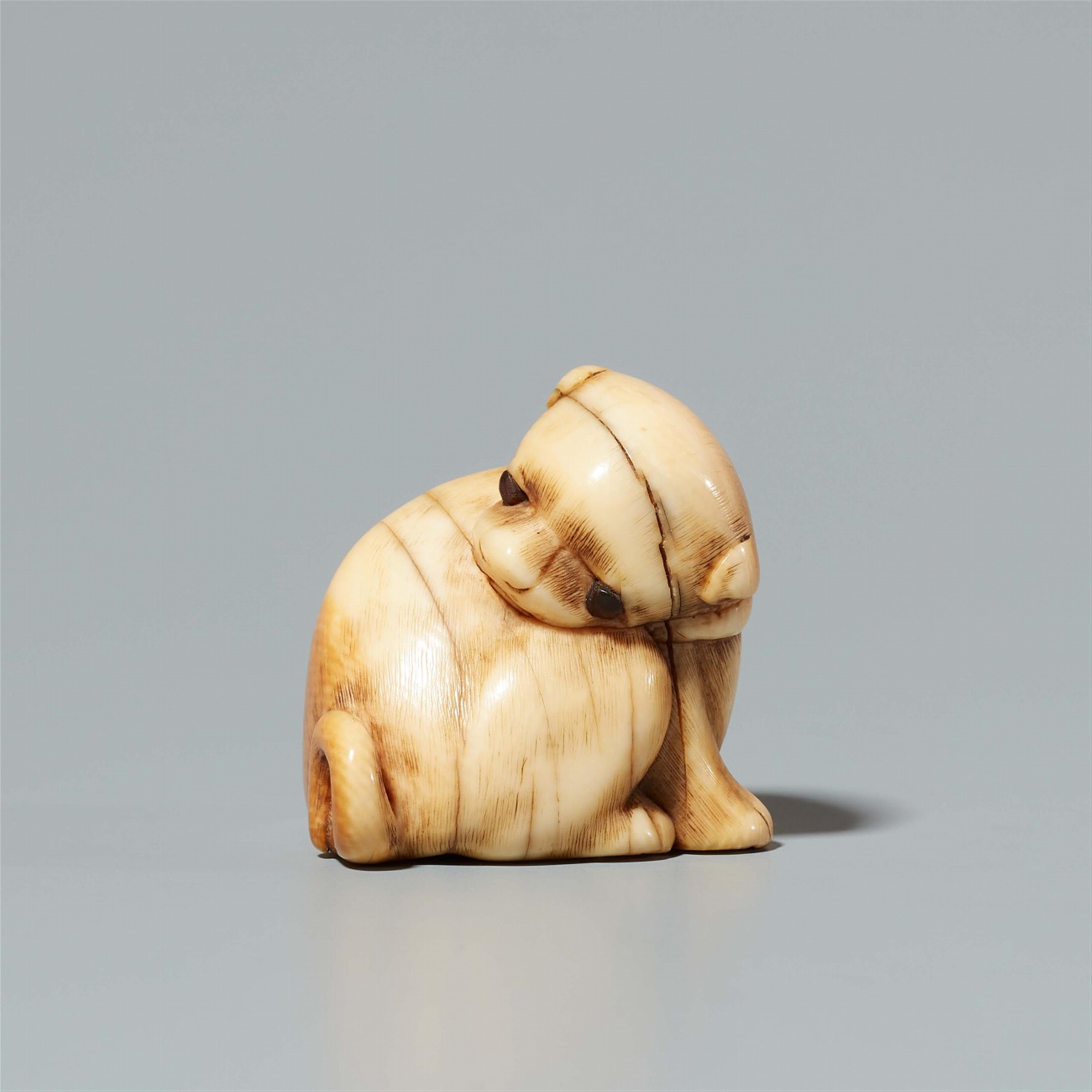 An ivory netsuke of a dog. 18th century - image-1