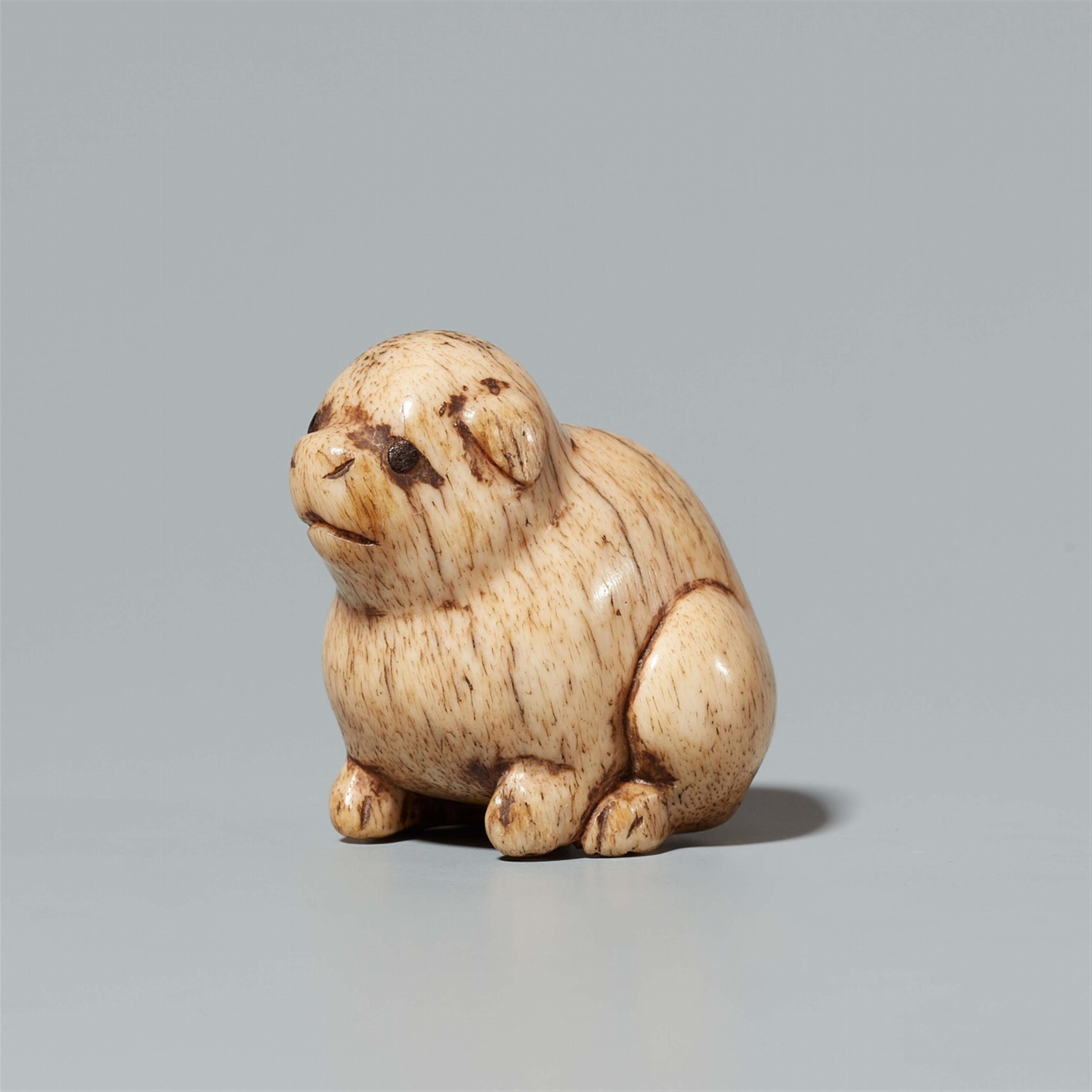 A stag antler netsuke of a small dog. Early 19th century - image-2