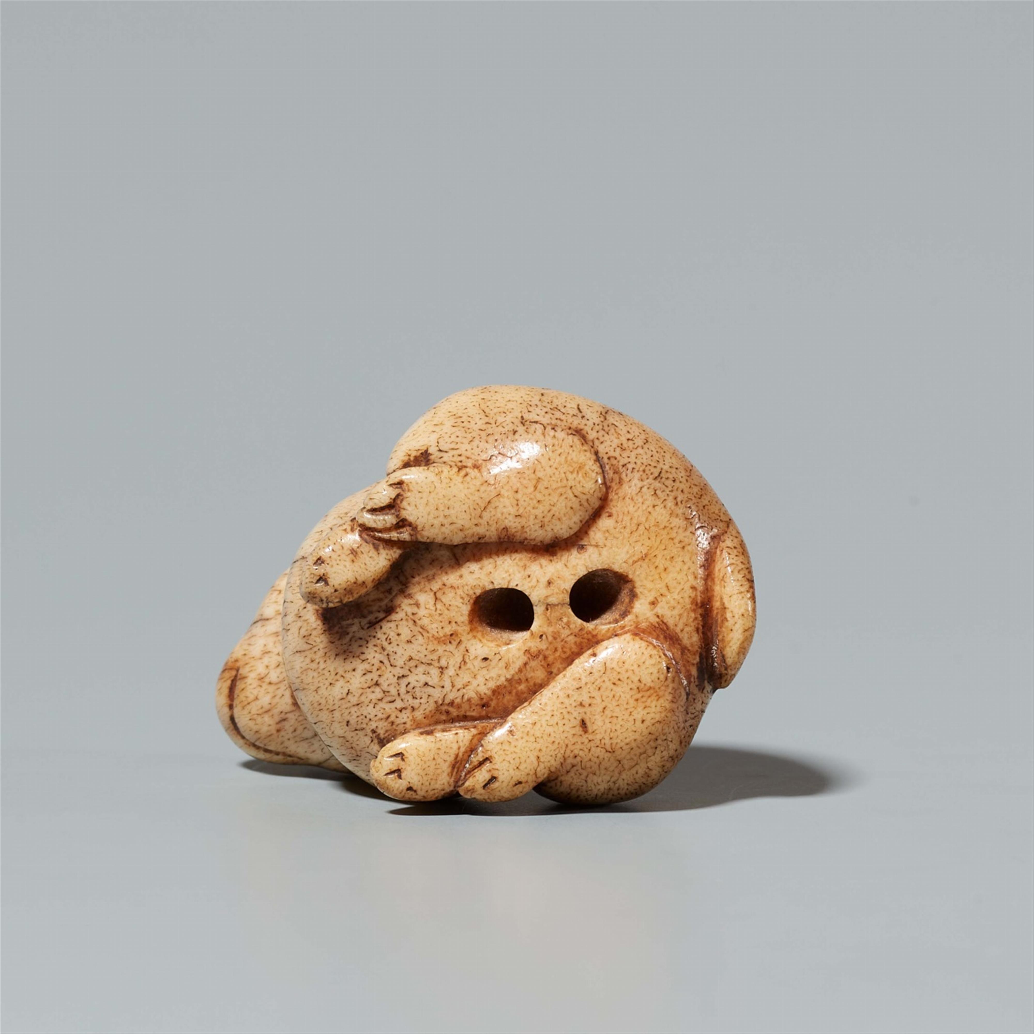 A stag antler netsuke of a small dog. Early 19th century - image-5