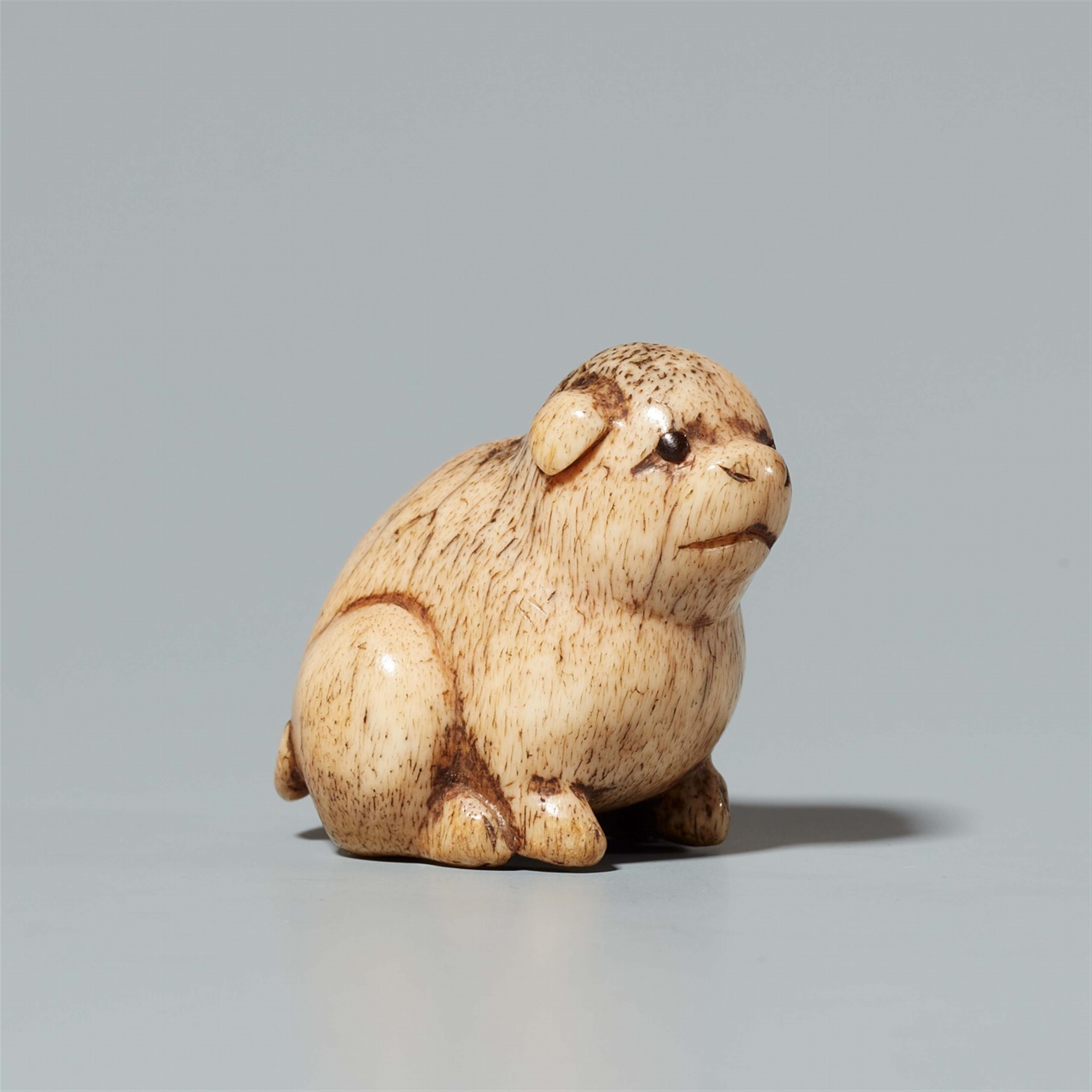 A stag antler netsuke of a small dog. Early 19th century - image-1