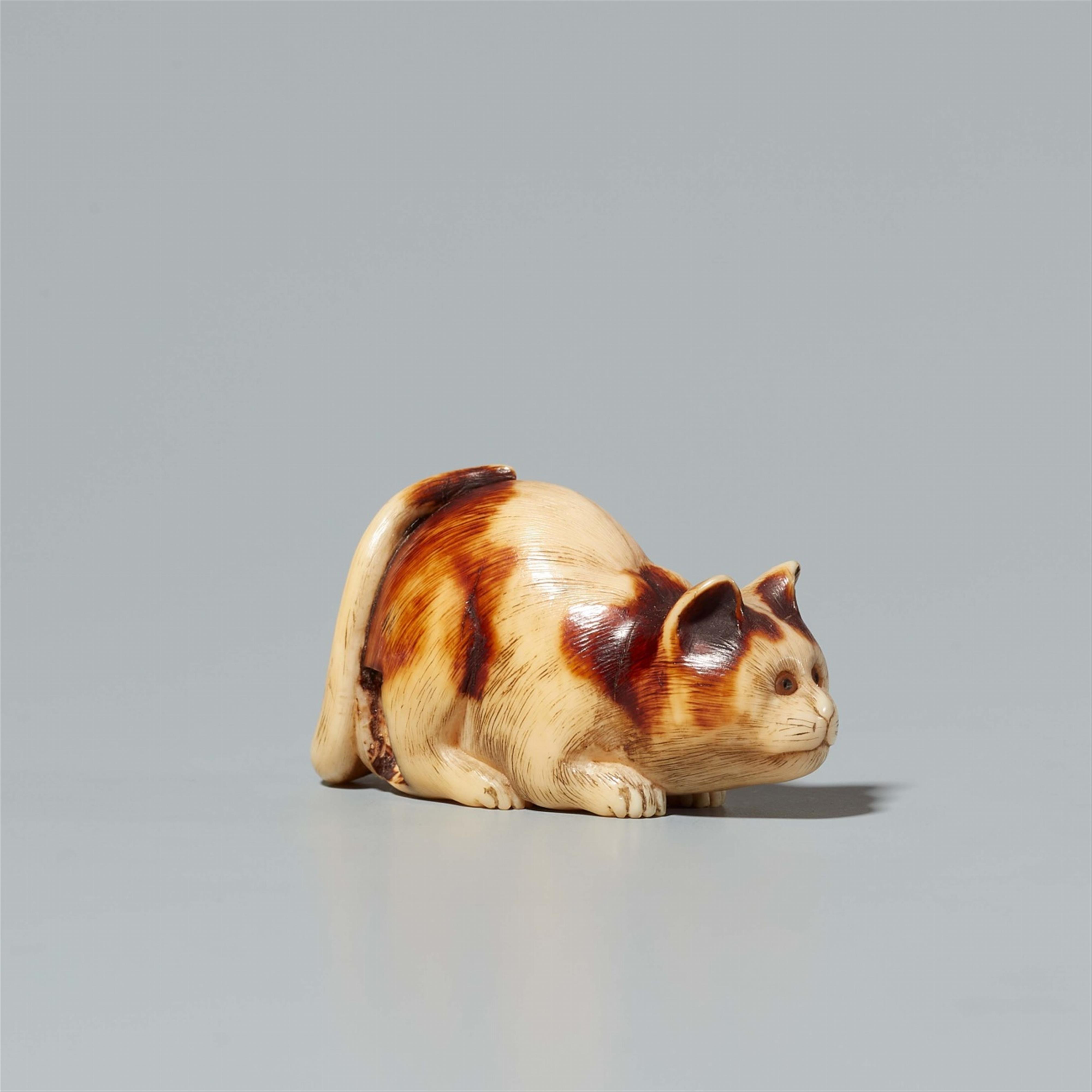 An ivory netsuke of a cat. 19th century - image-2