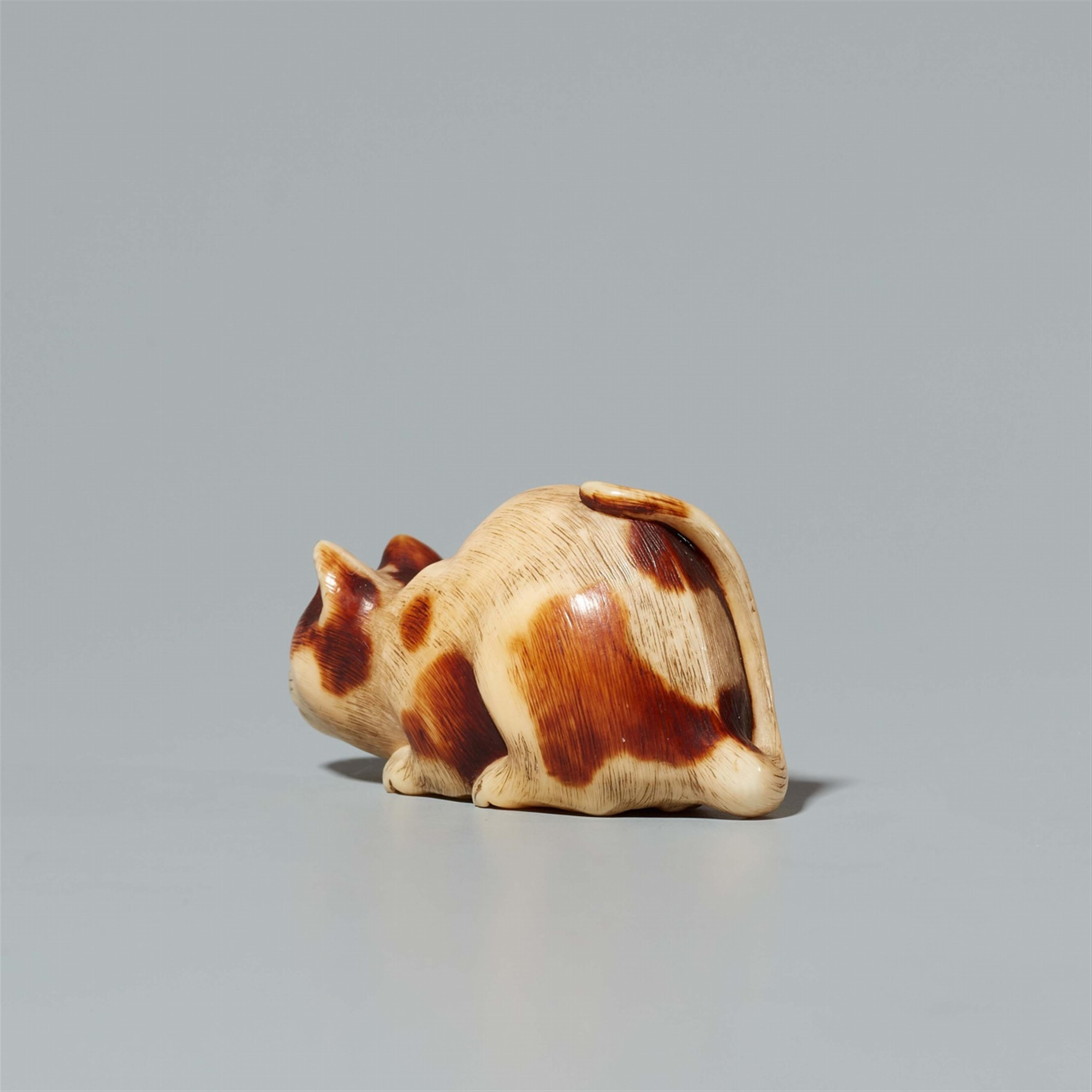 An ivory netsuke of a cat. 19th century - image-4