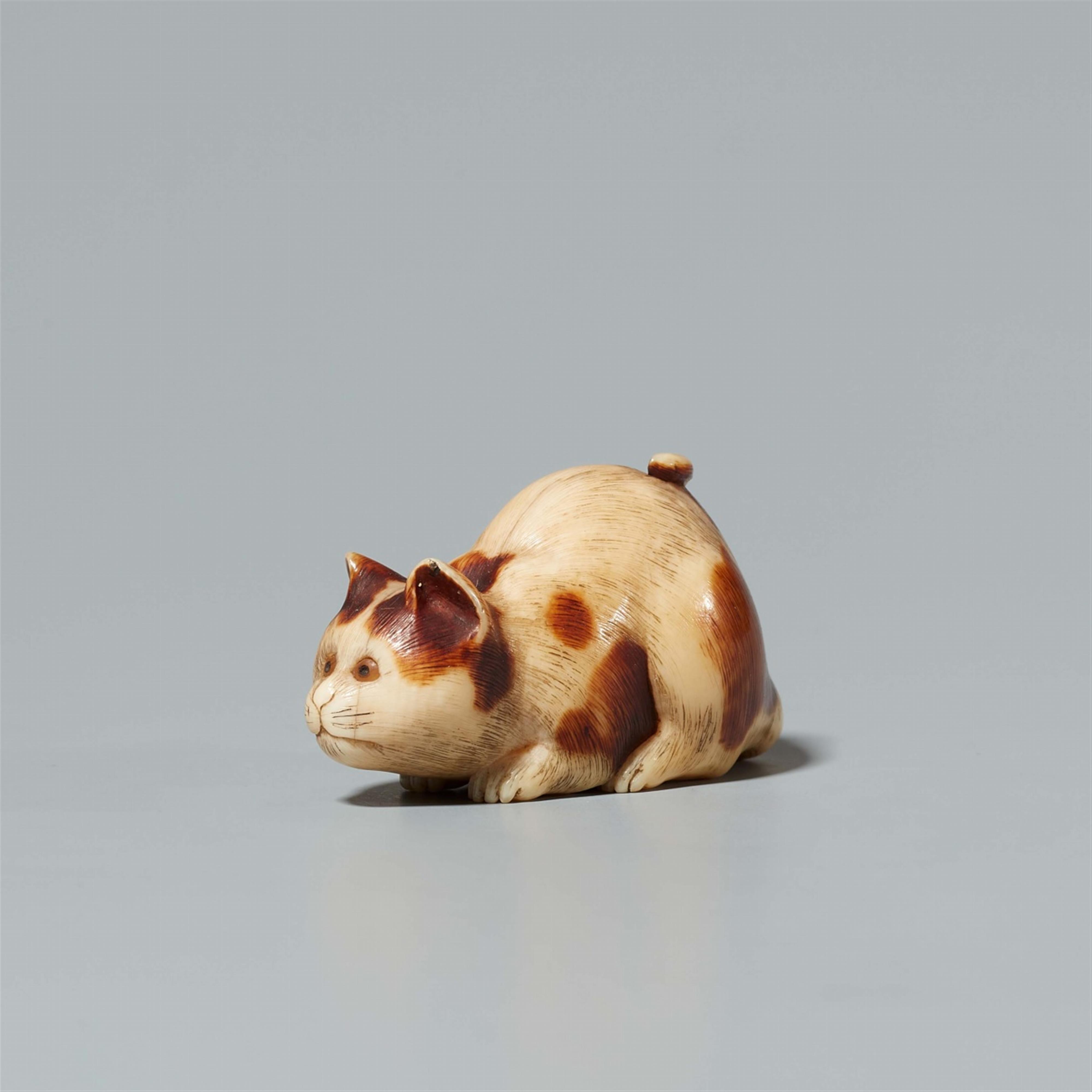 An ivory netsuke of a cat. 19th century - image-1