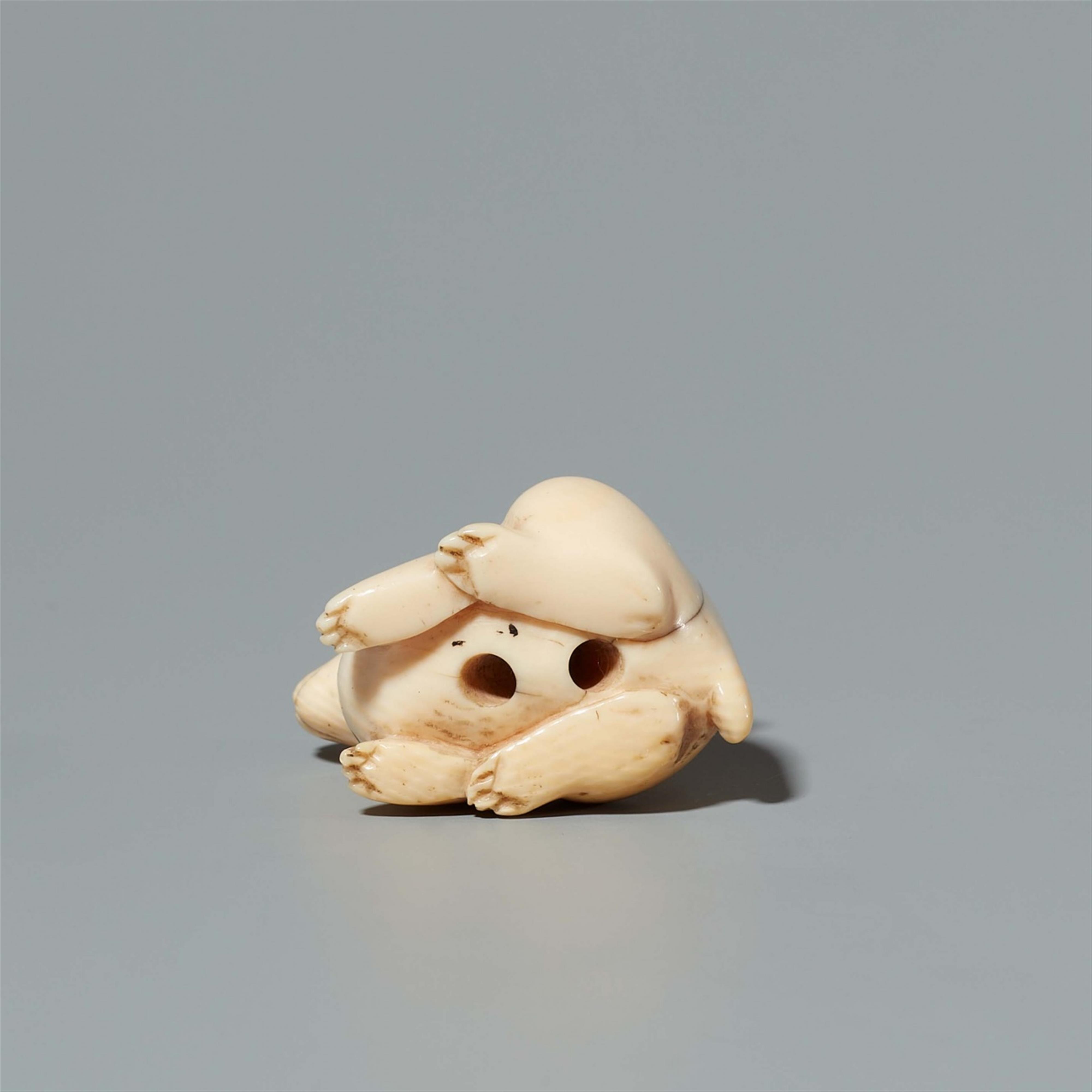 An ivory netsuke of a seated hare. 19th century - image-5