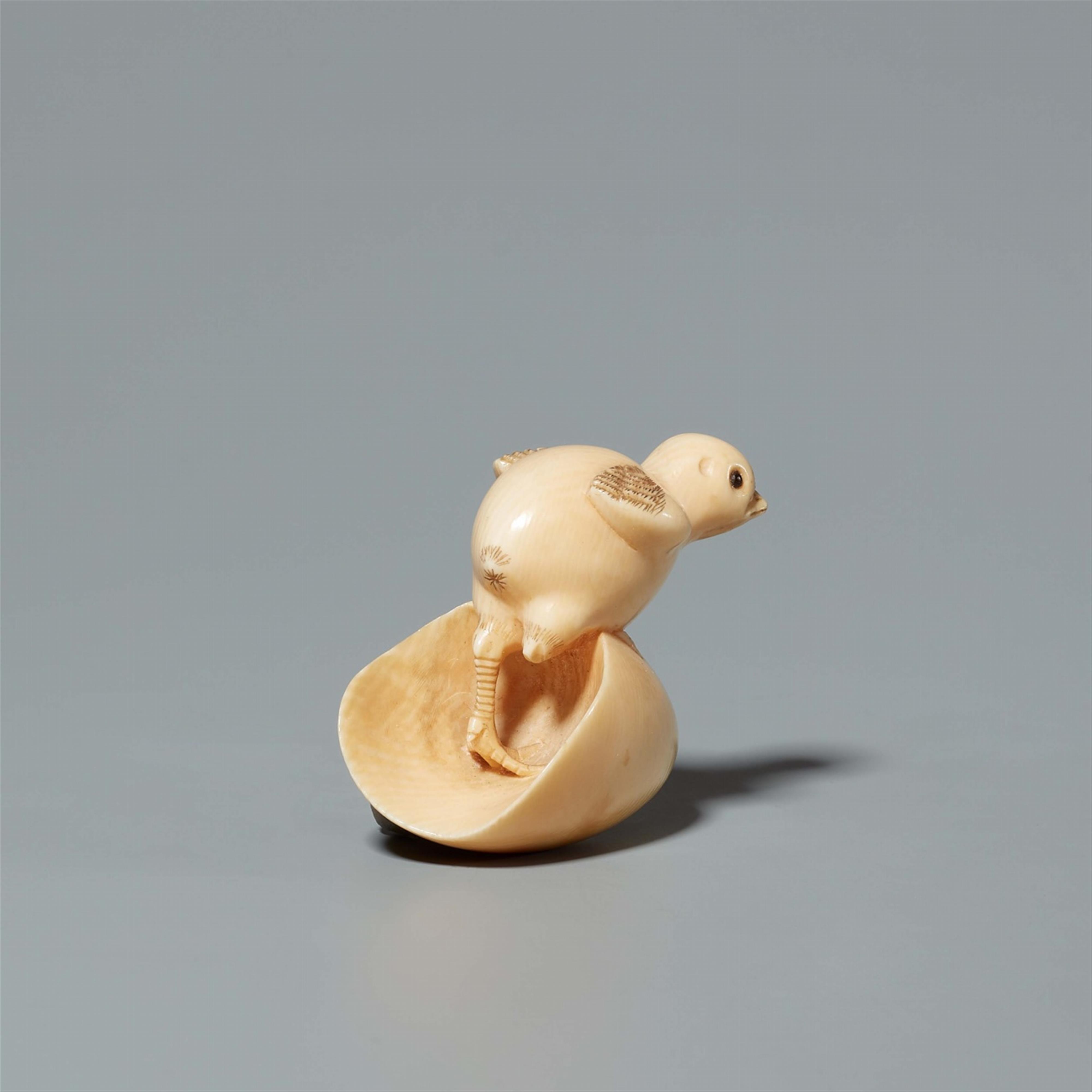 An Osaka school ivory netsuke of a hatching chick, by Doraku. Second half 19th century - image-2