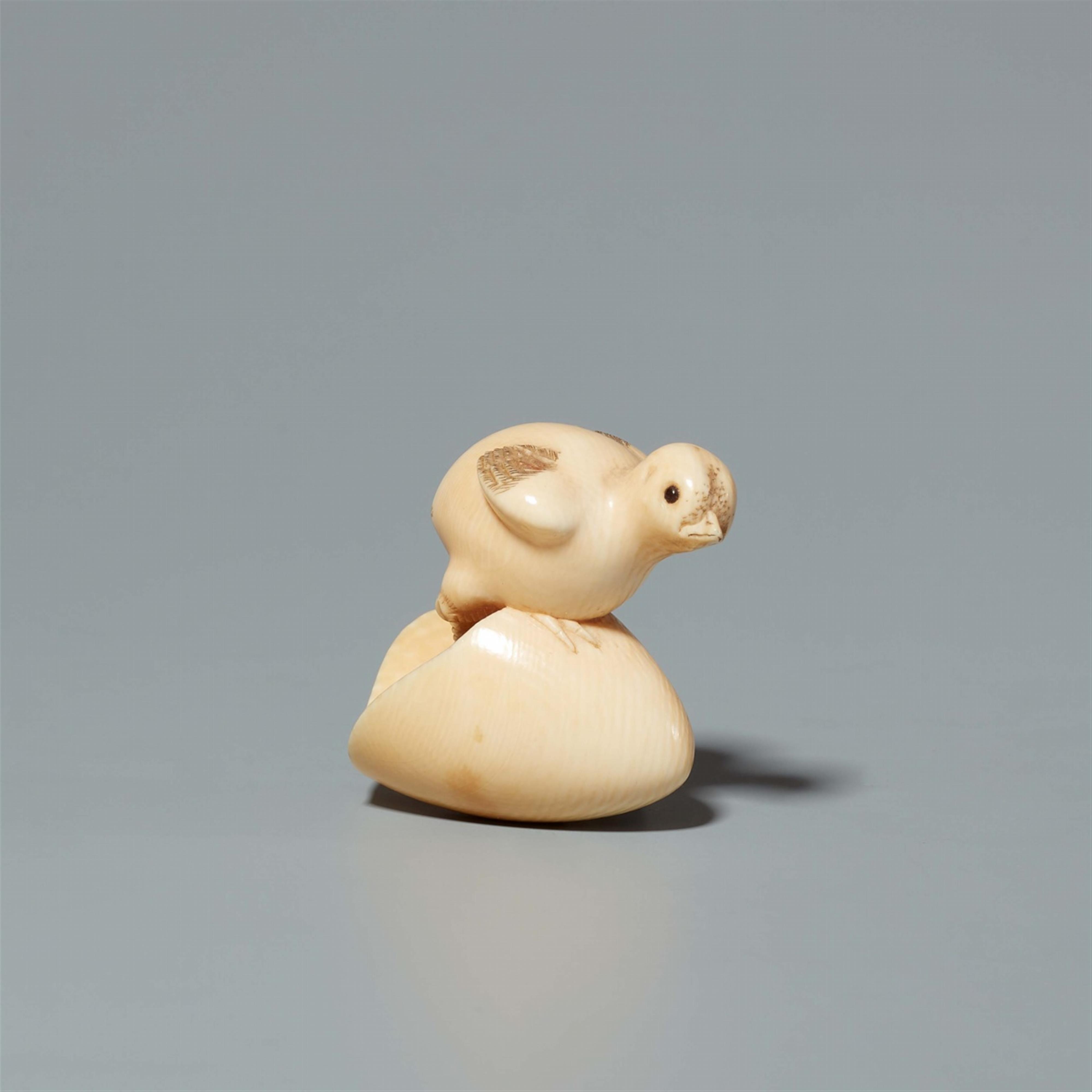 An Osaka school ivory netsuke of a hatching chick, by Doraku. Second half 19th century - image-3