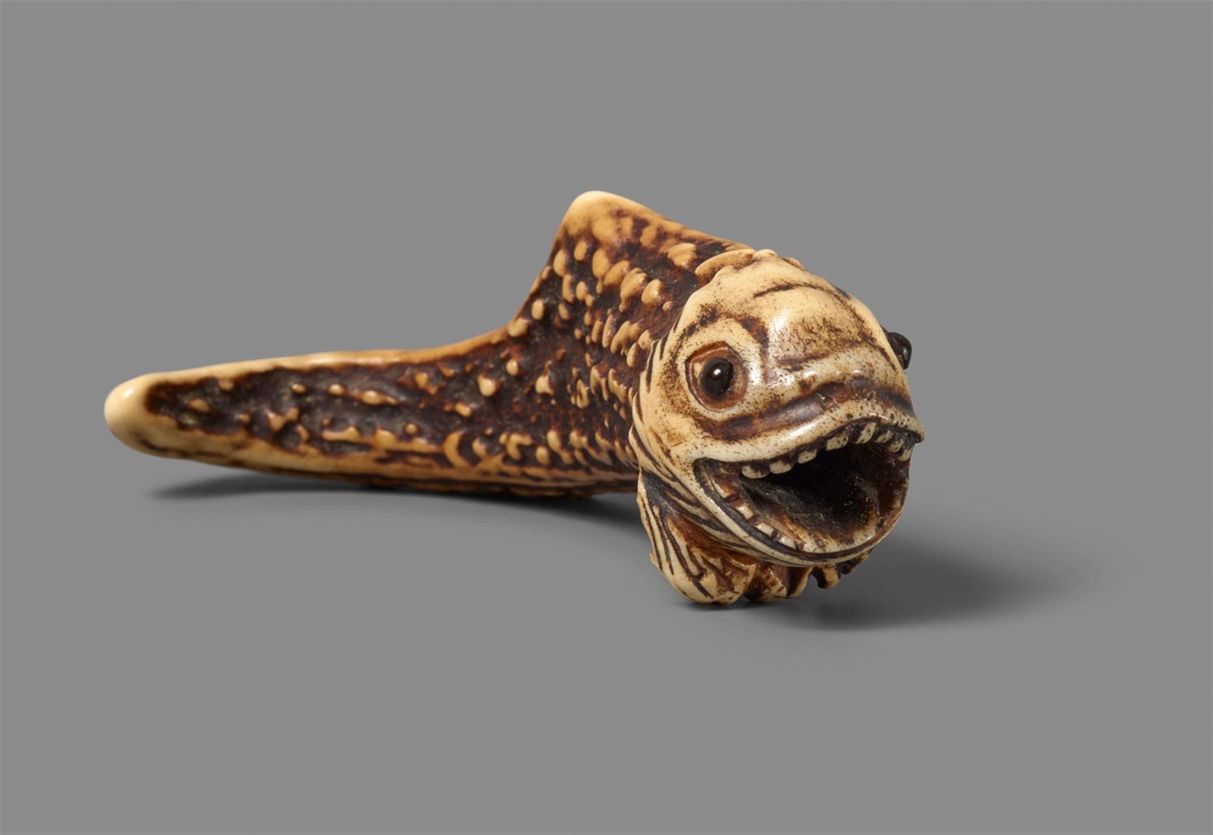 An Asakusa-type stag antler netsuke of a swimming fish. 19th century - image-1