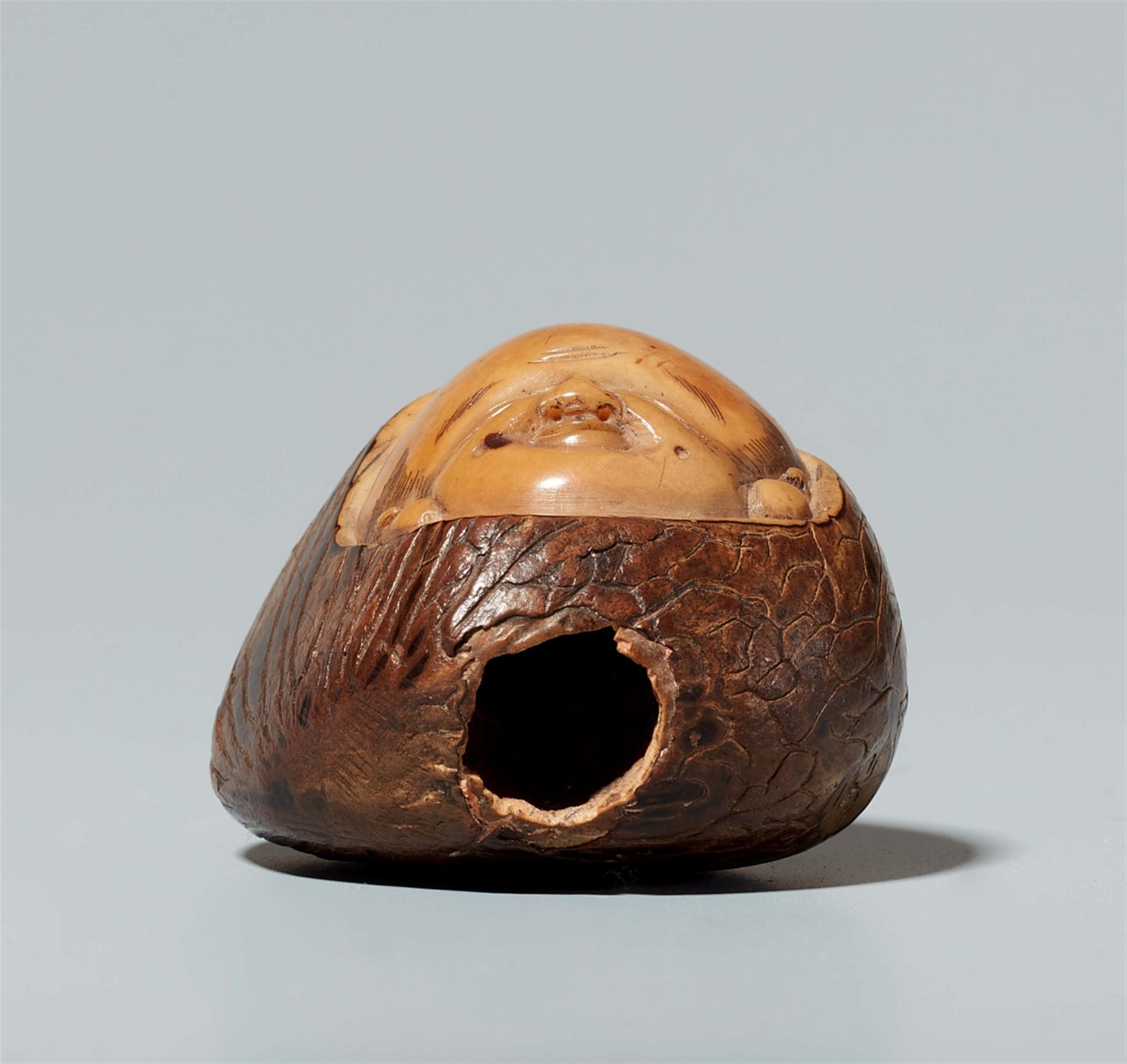 A corozo nut netsuke of Fukusuke, by Masaharu. Late 19th century - image-5
